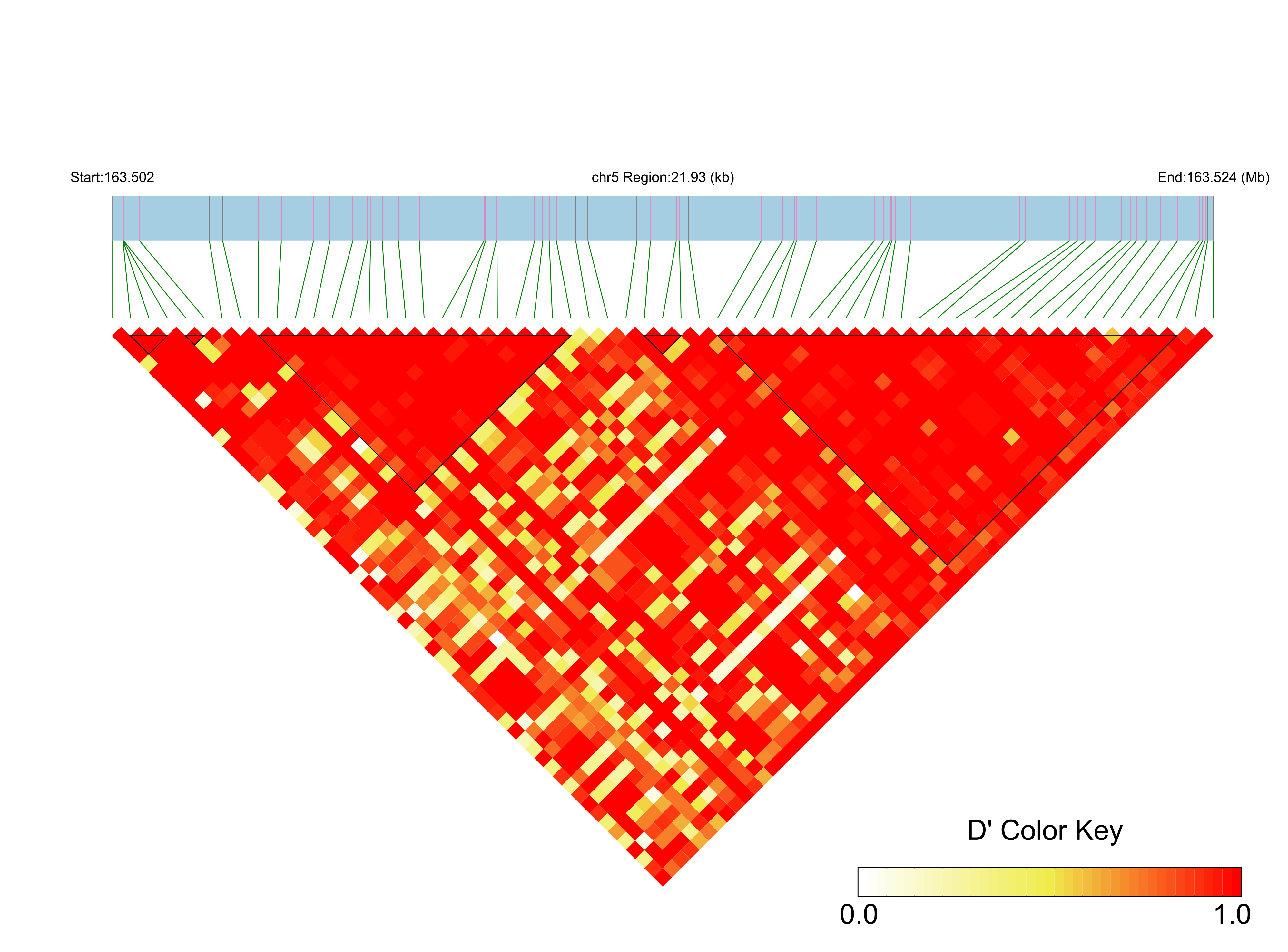 LD