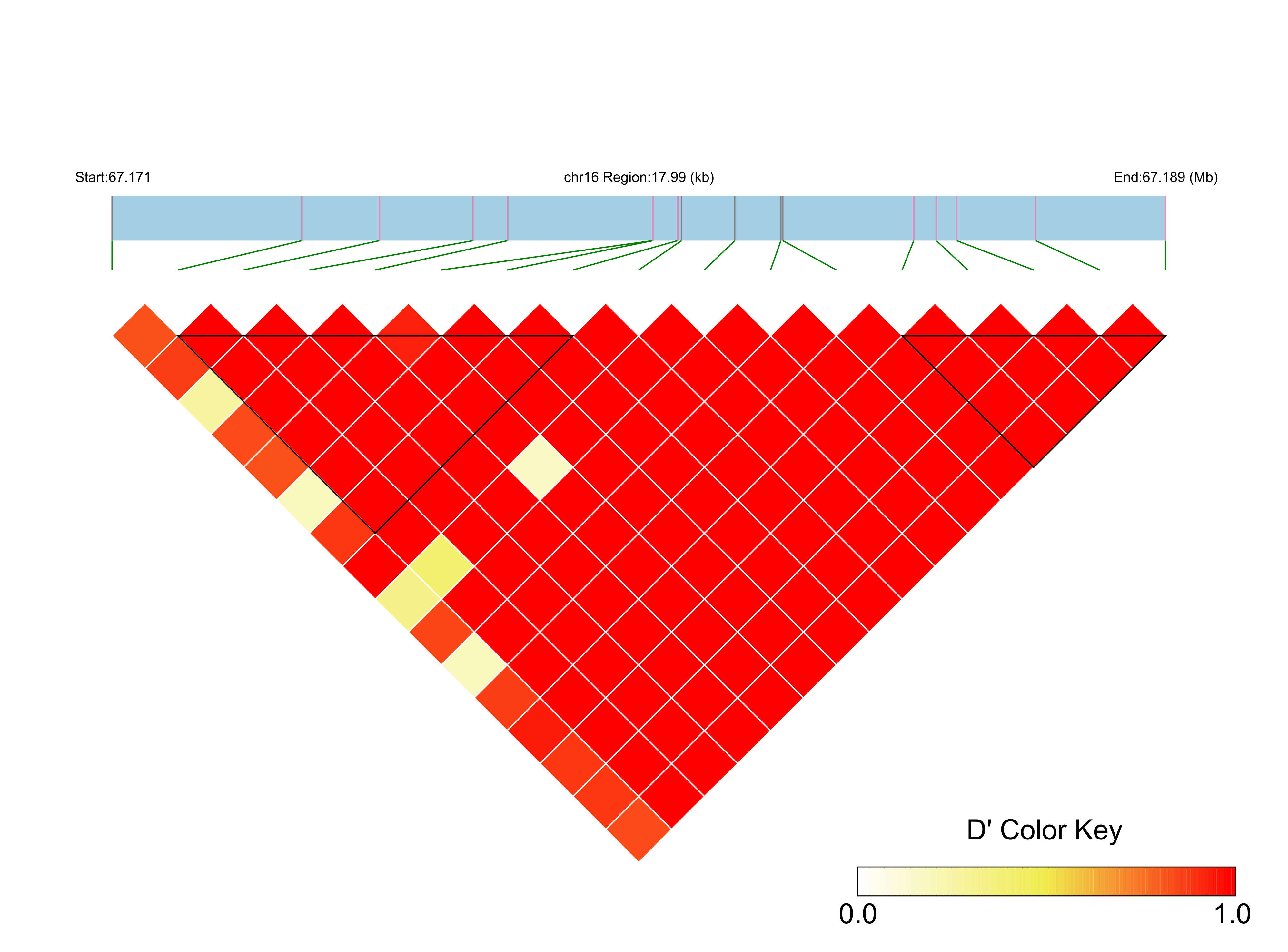 LD