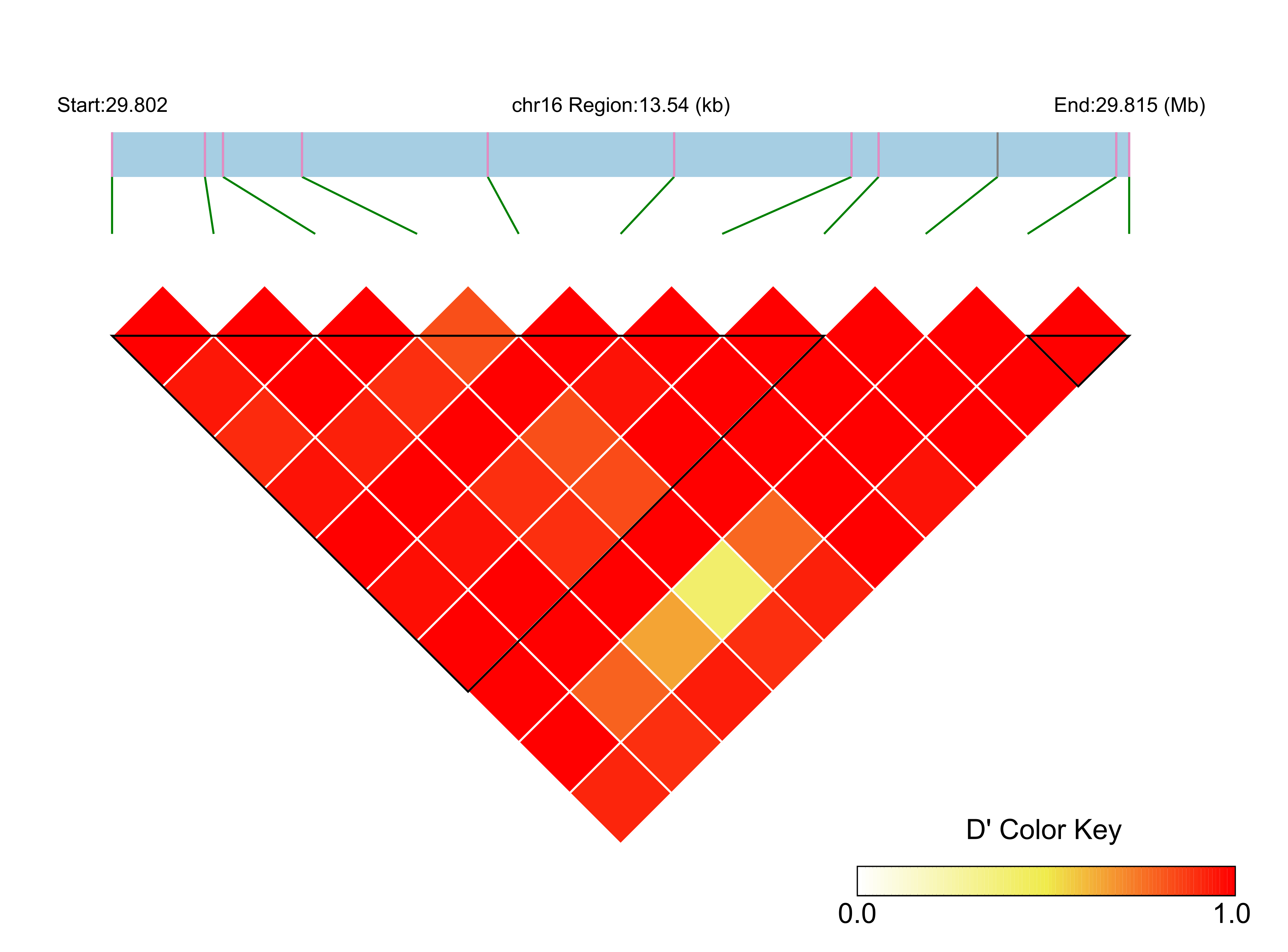 LD