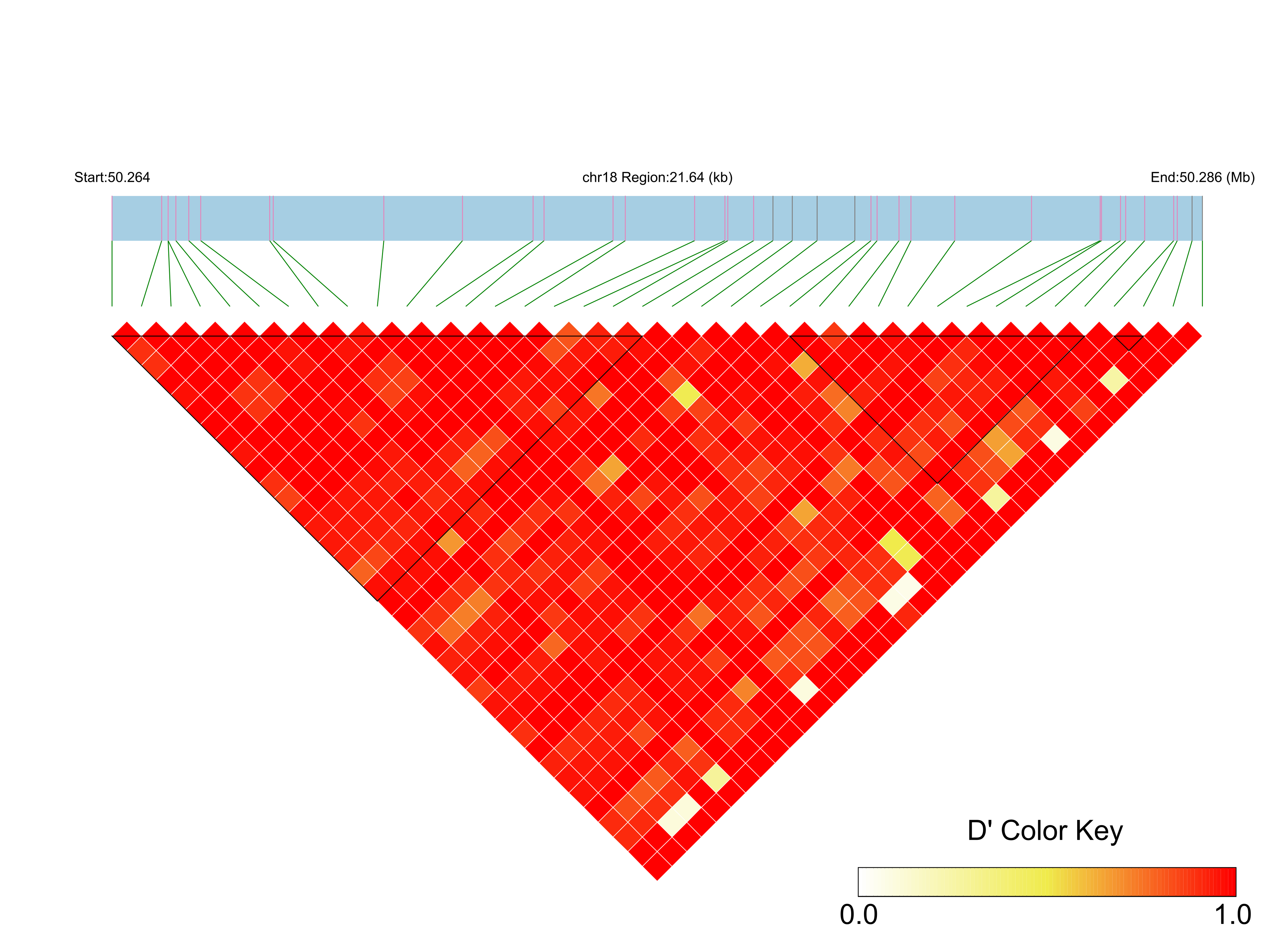 LD