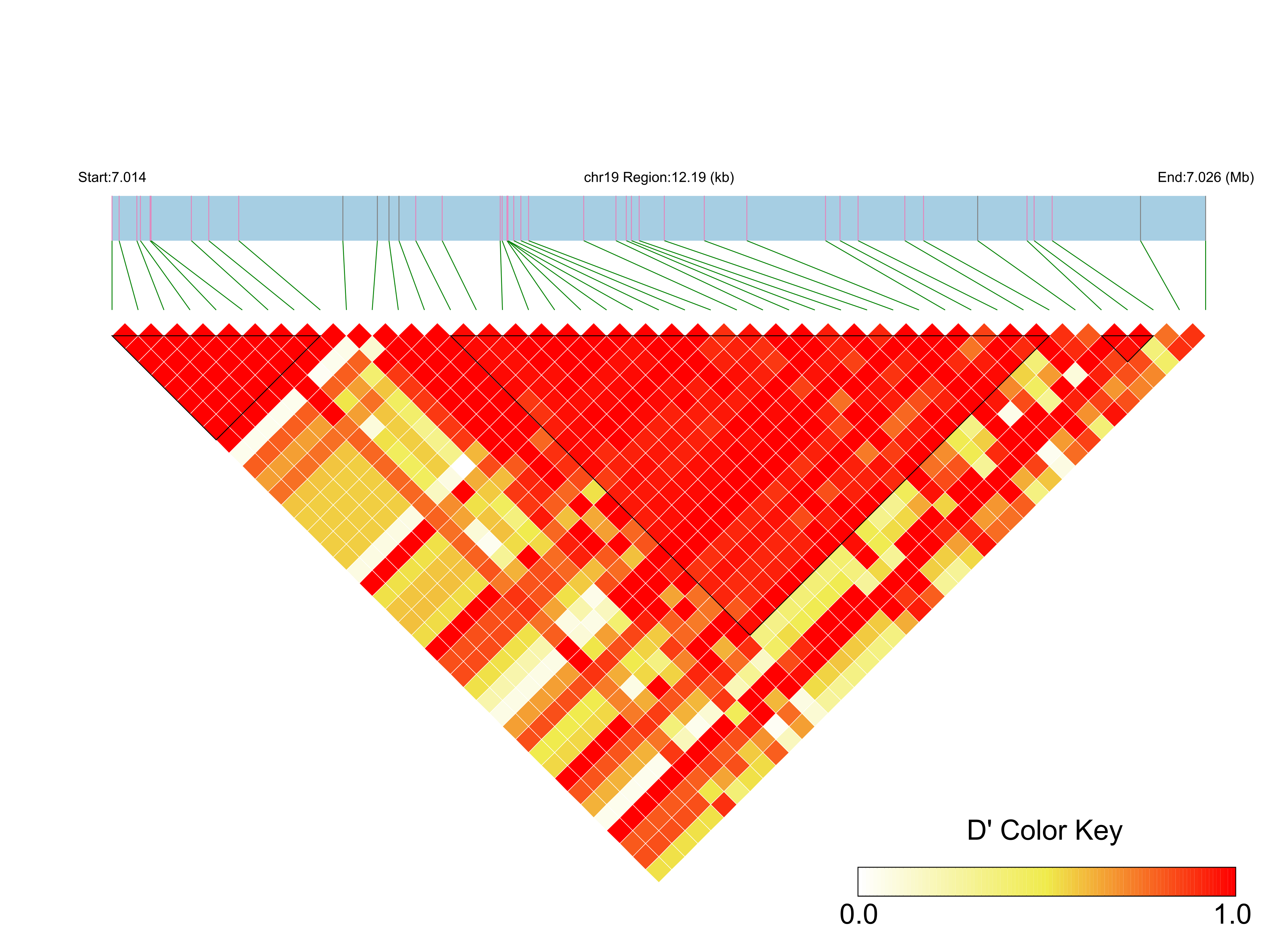LD