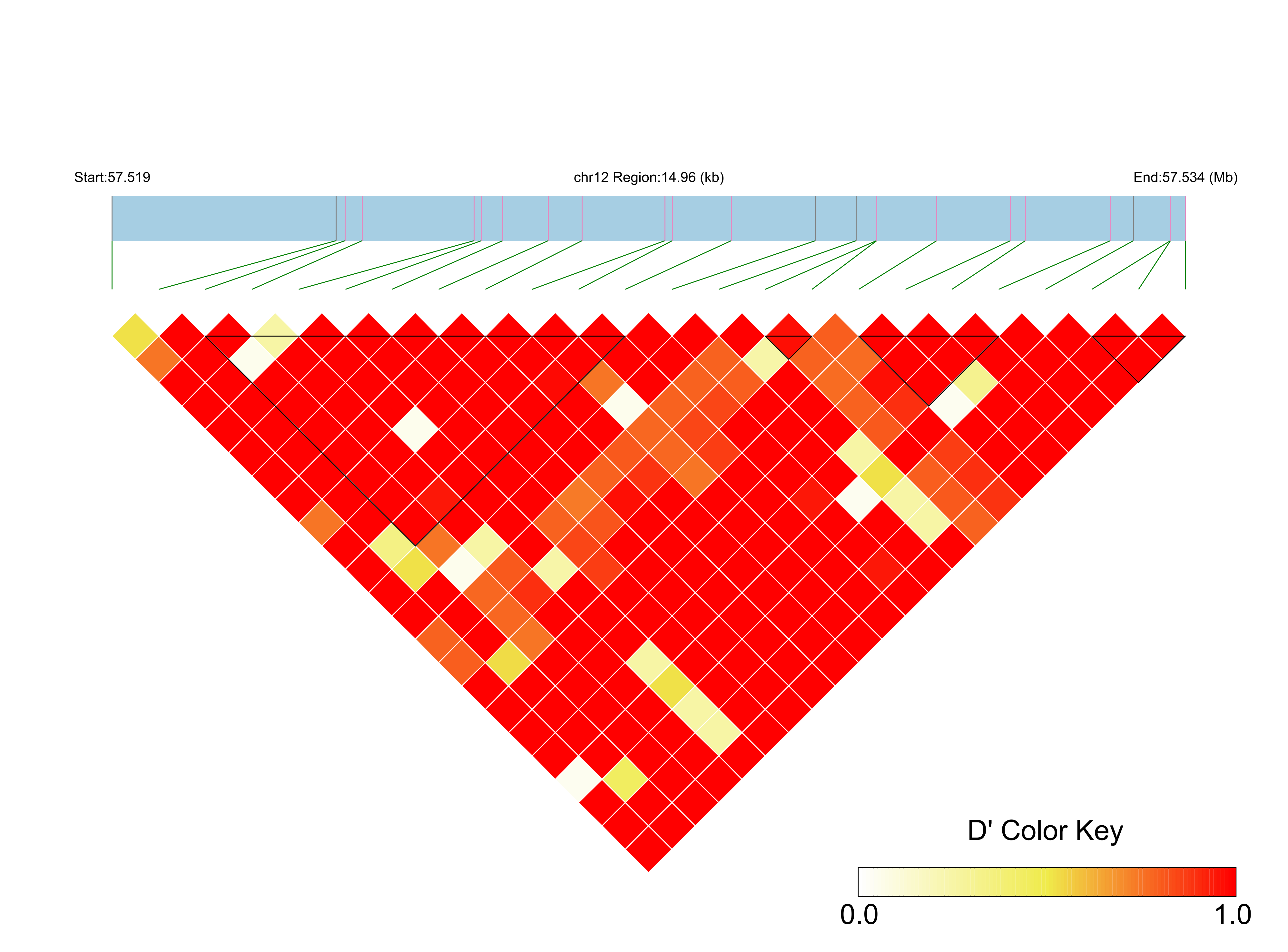 LD