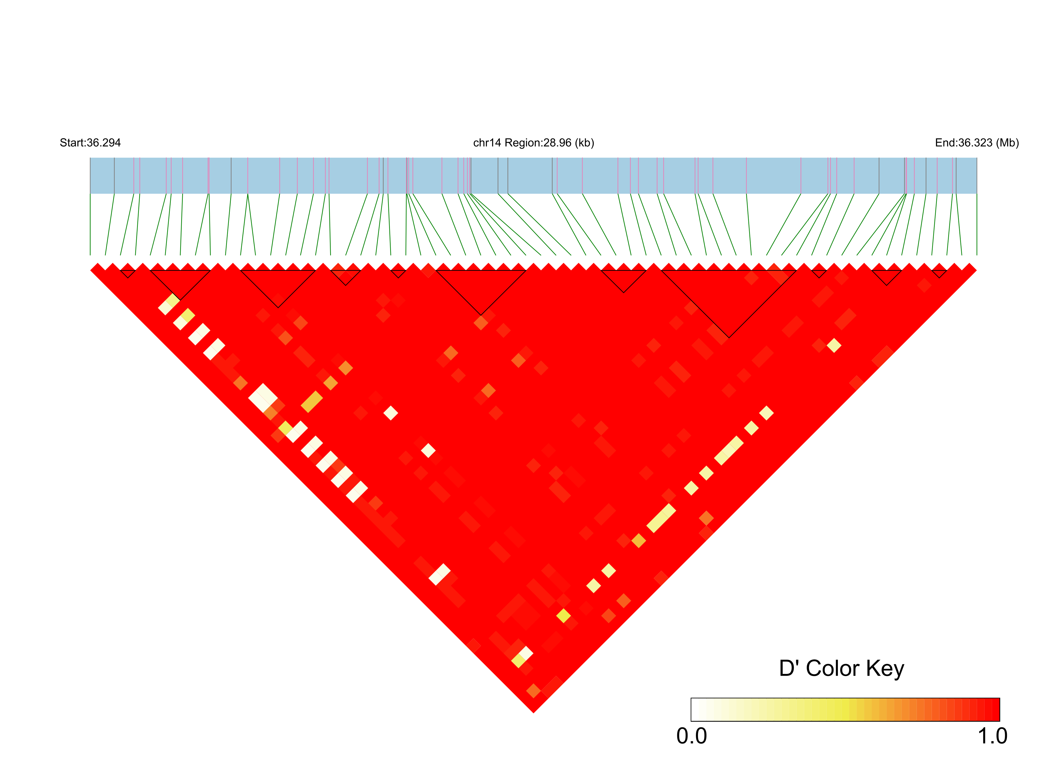 LD
