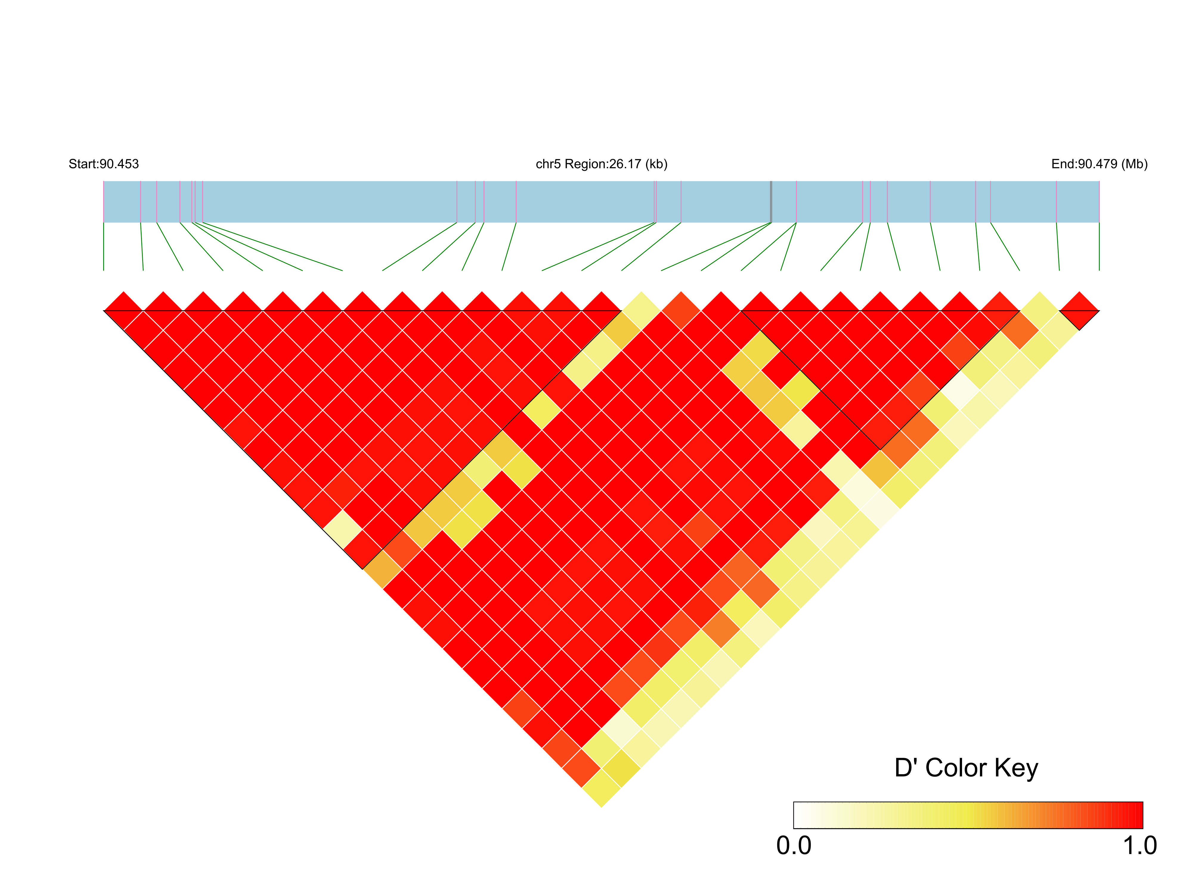 LD