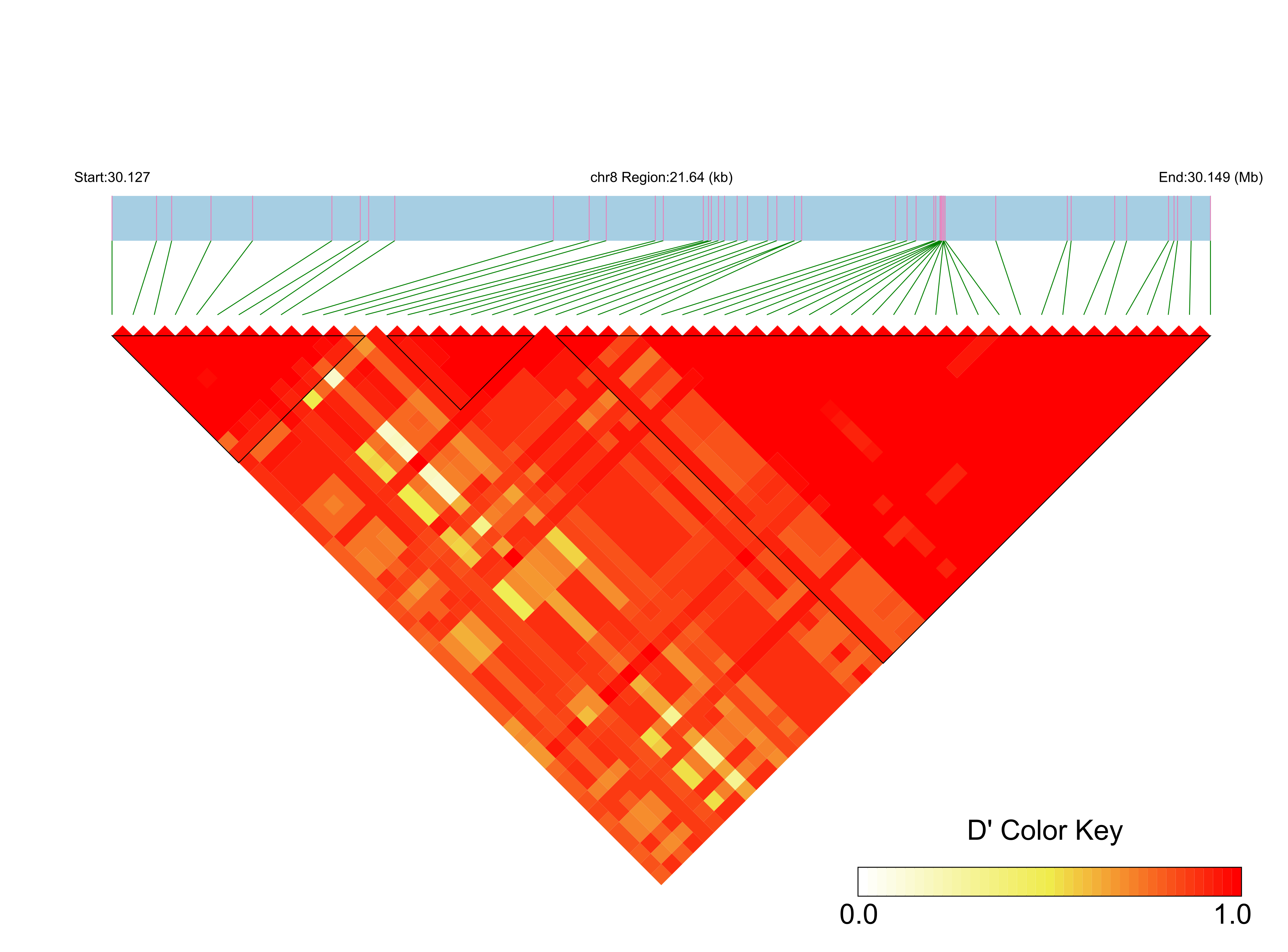 LD