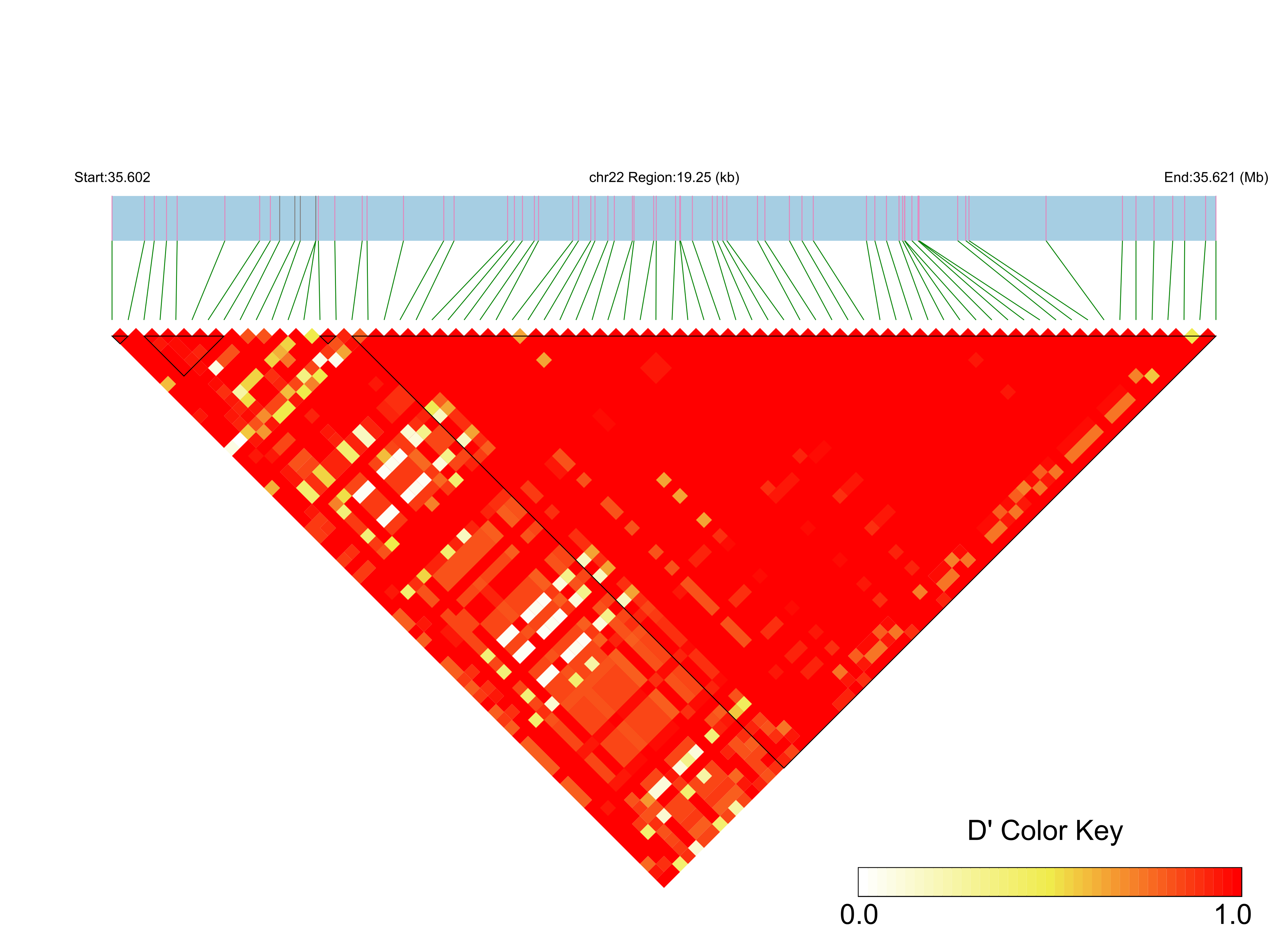 LD