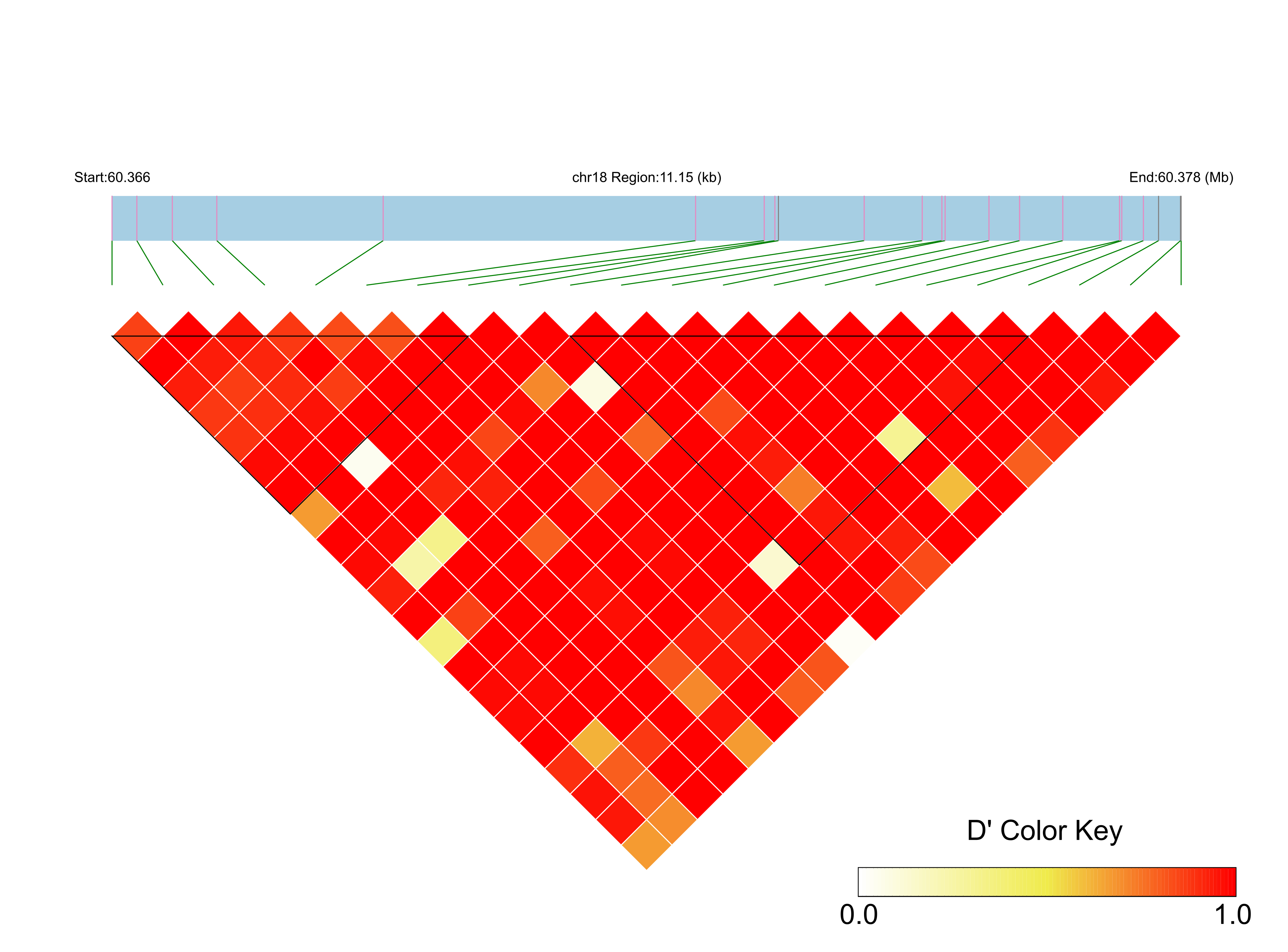 LD