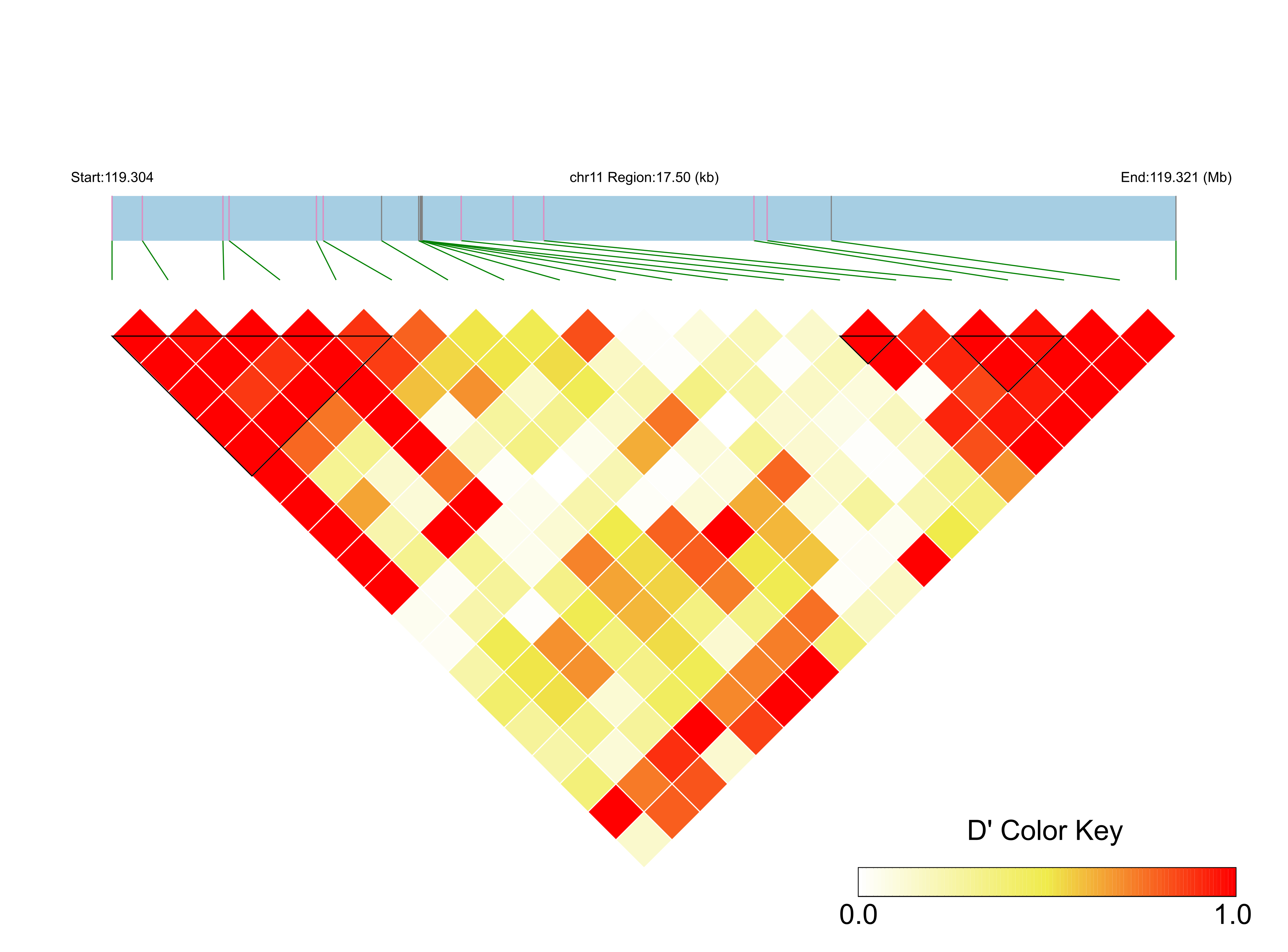 LD