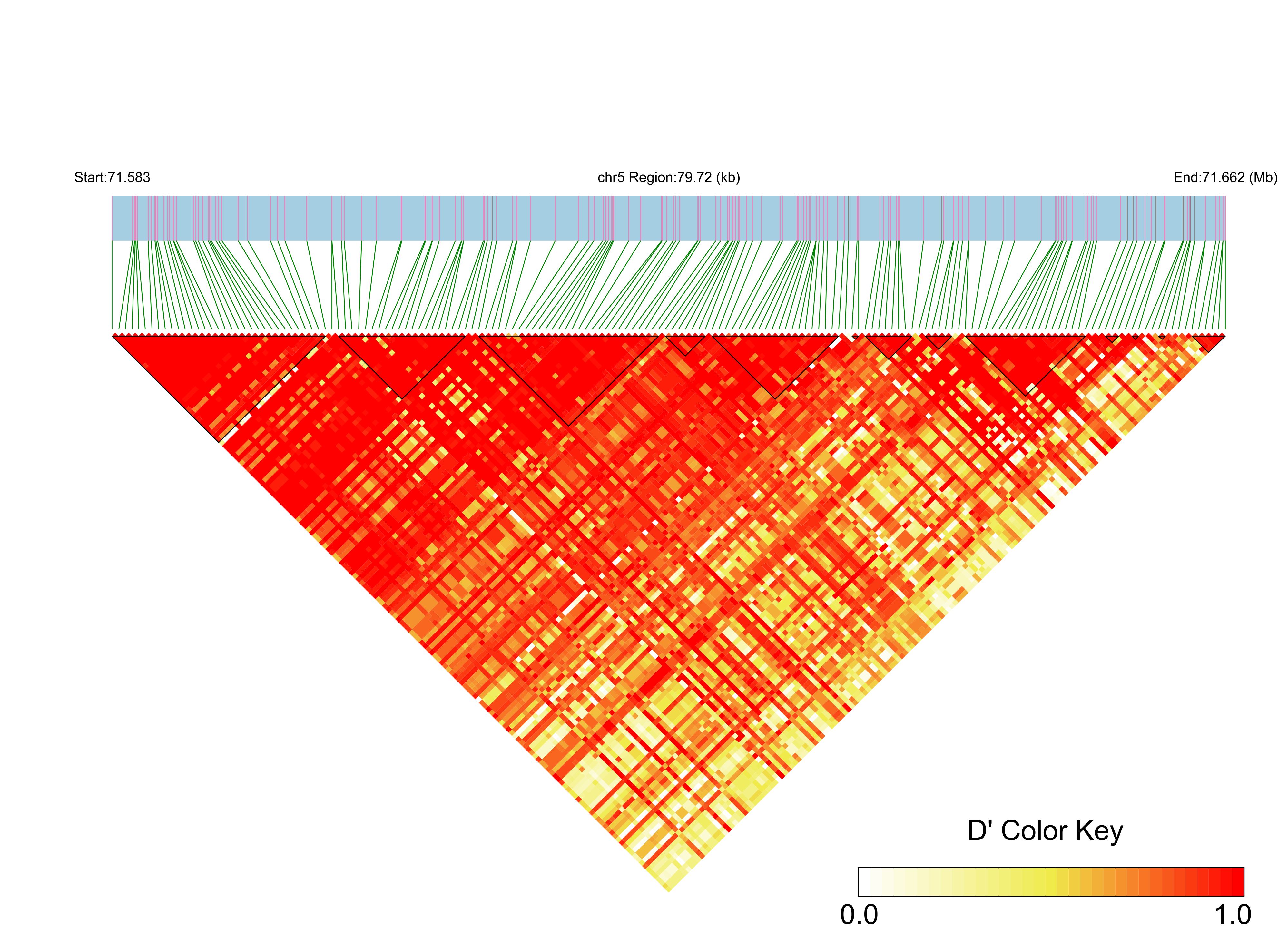 LD