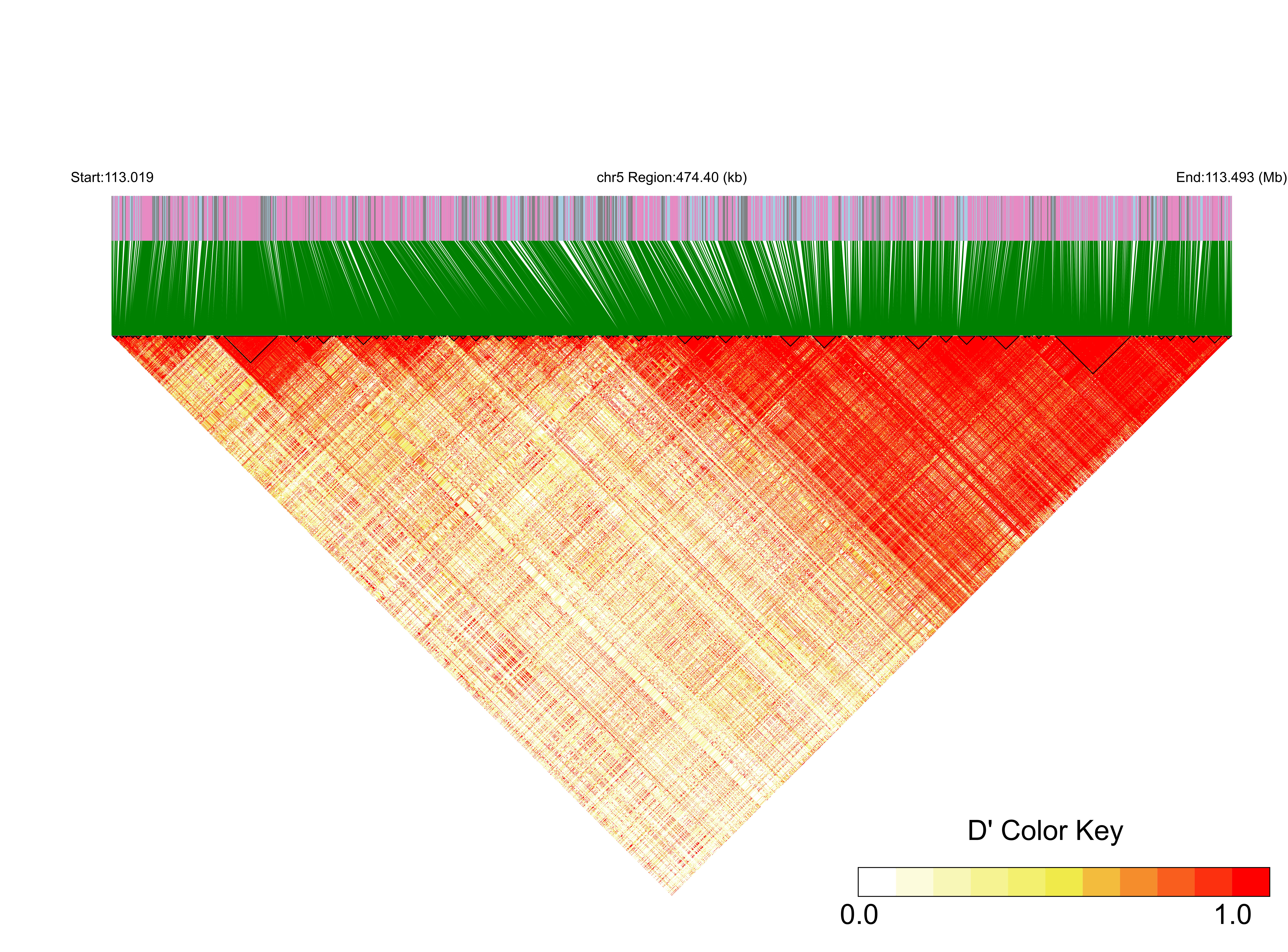 LD
