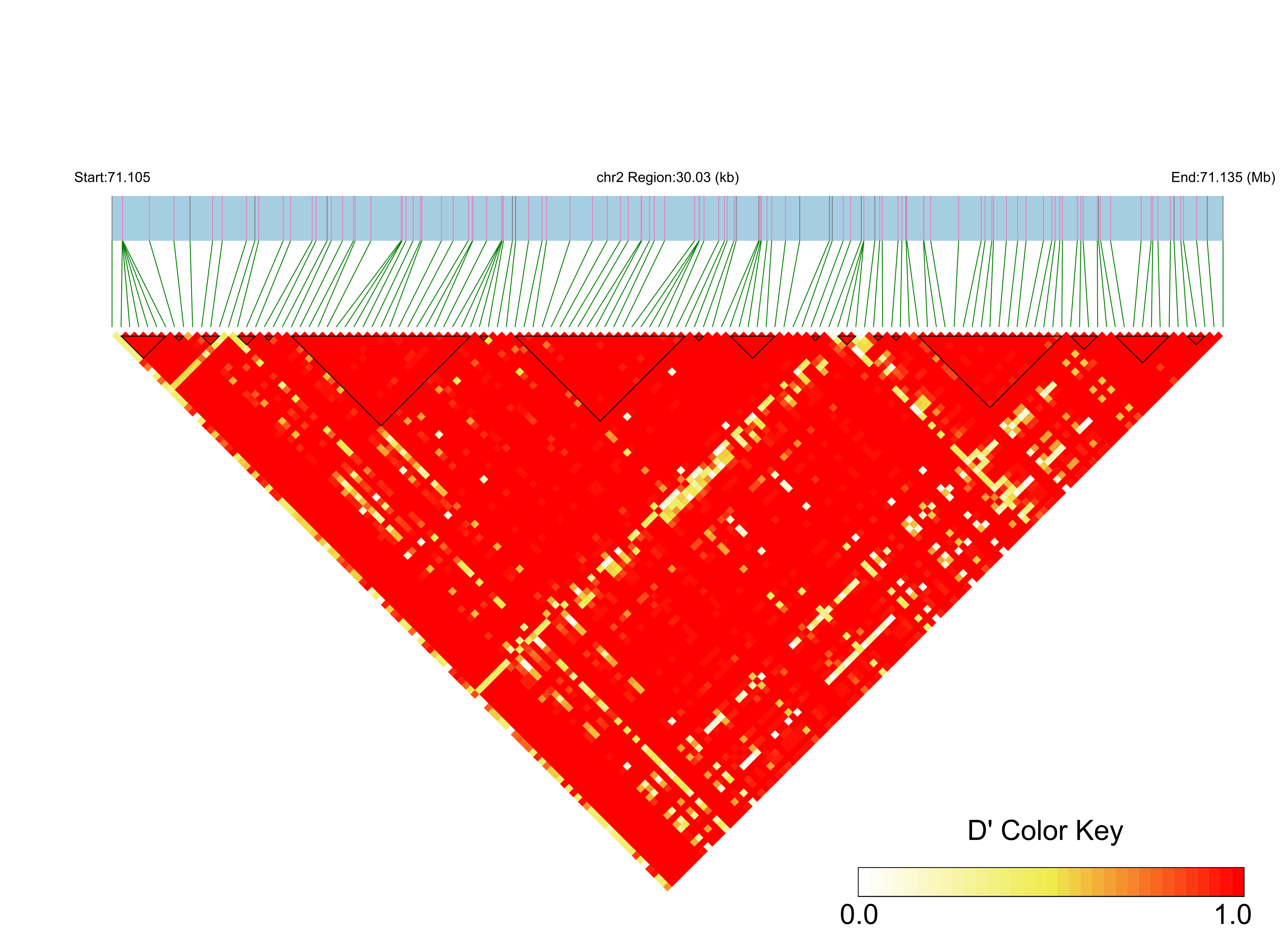 LD