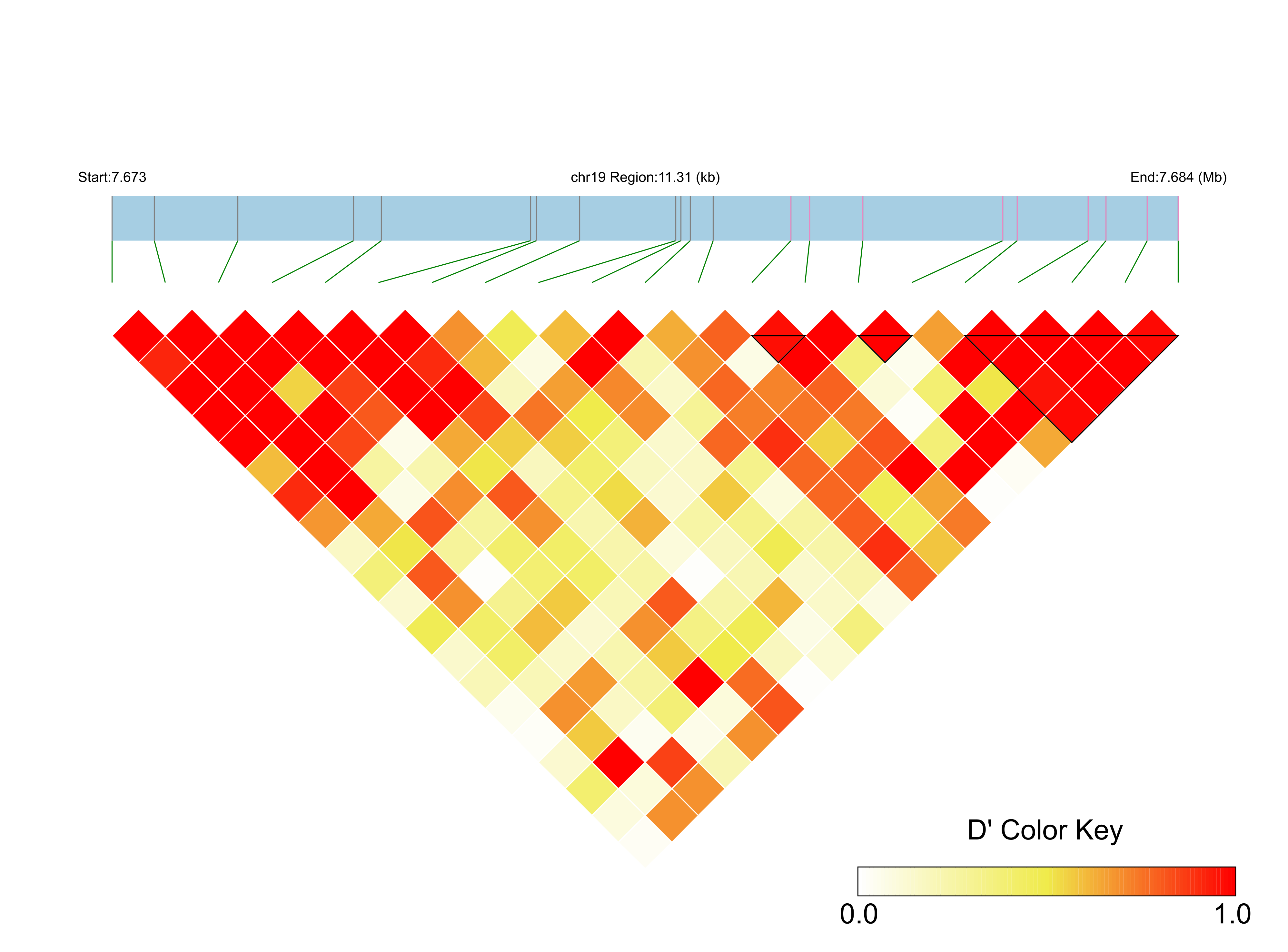 LD