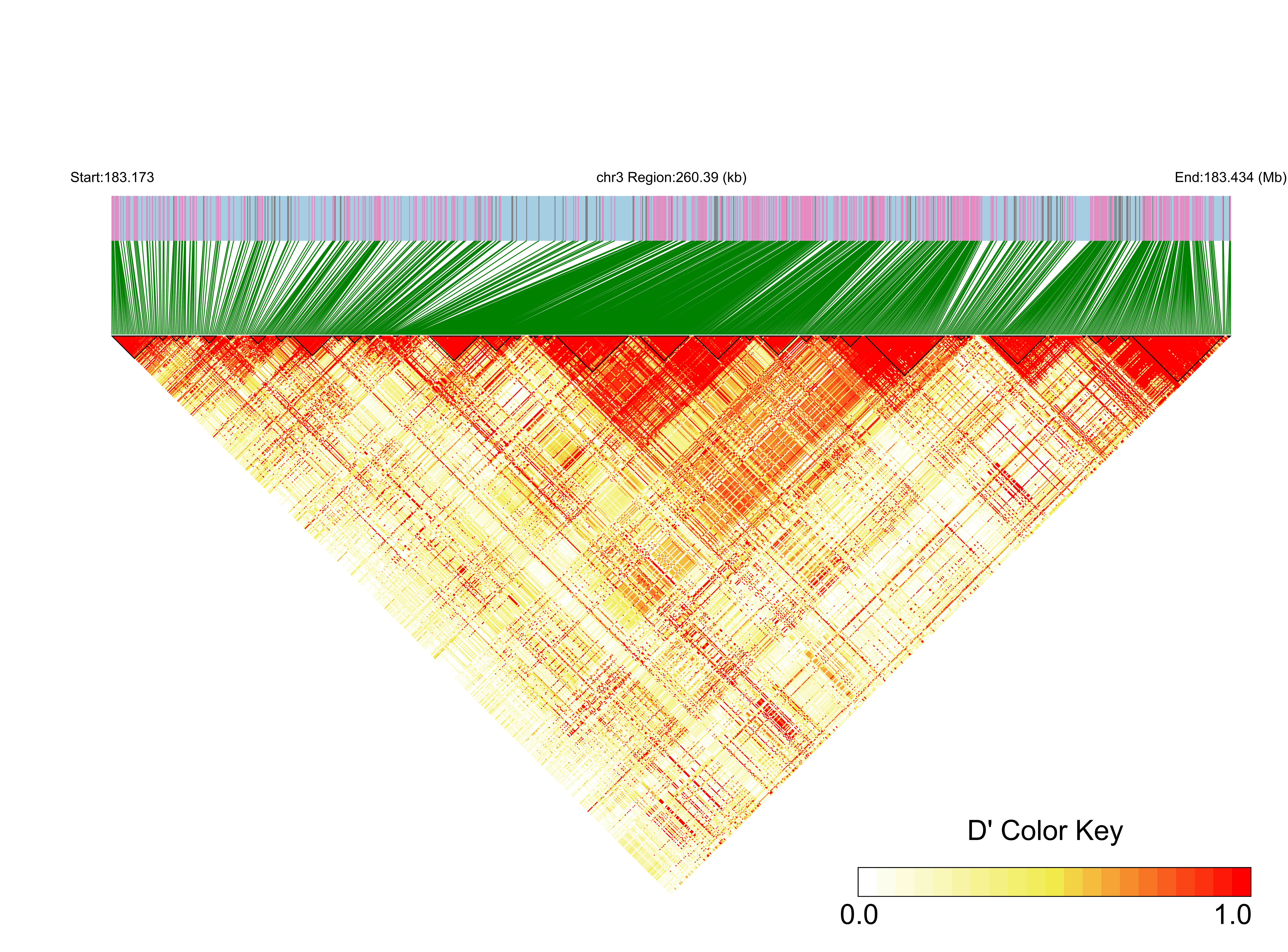 LD