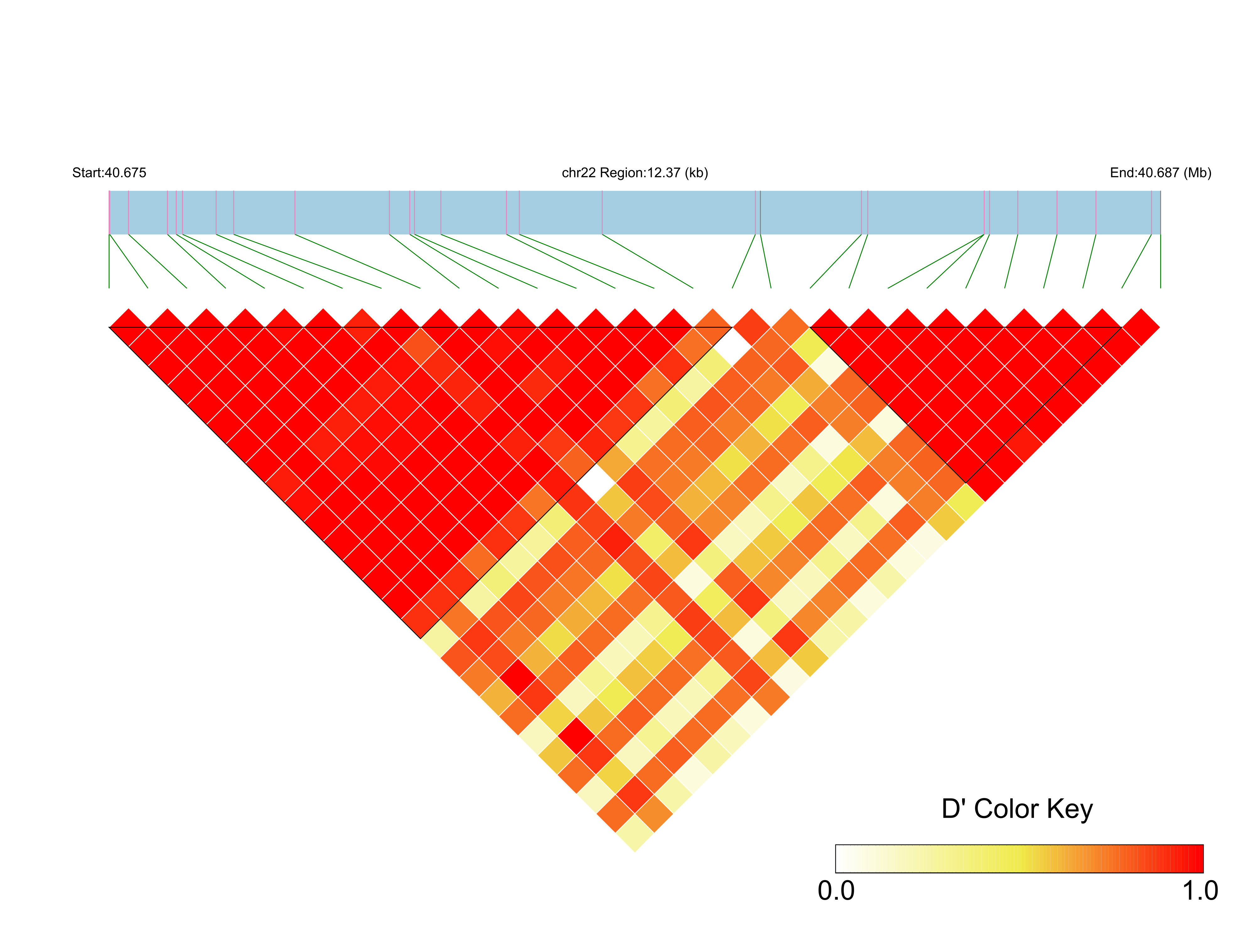 LD
