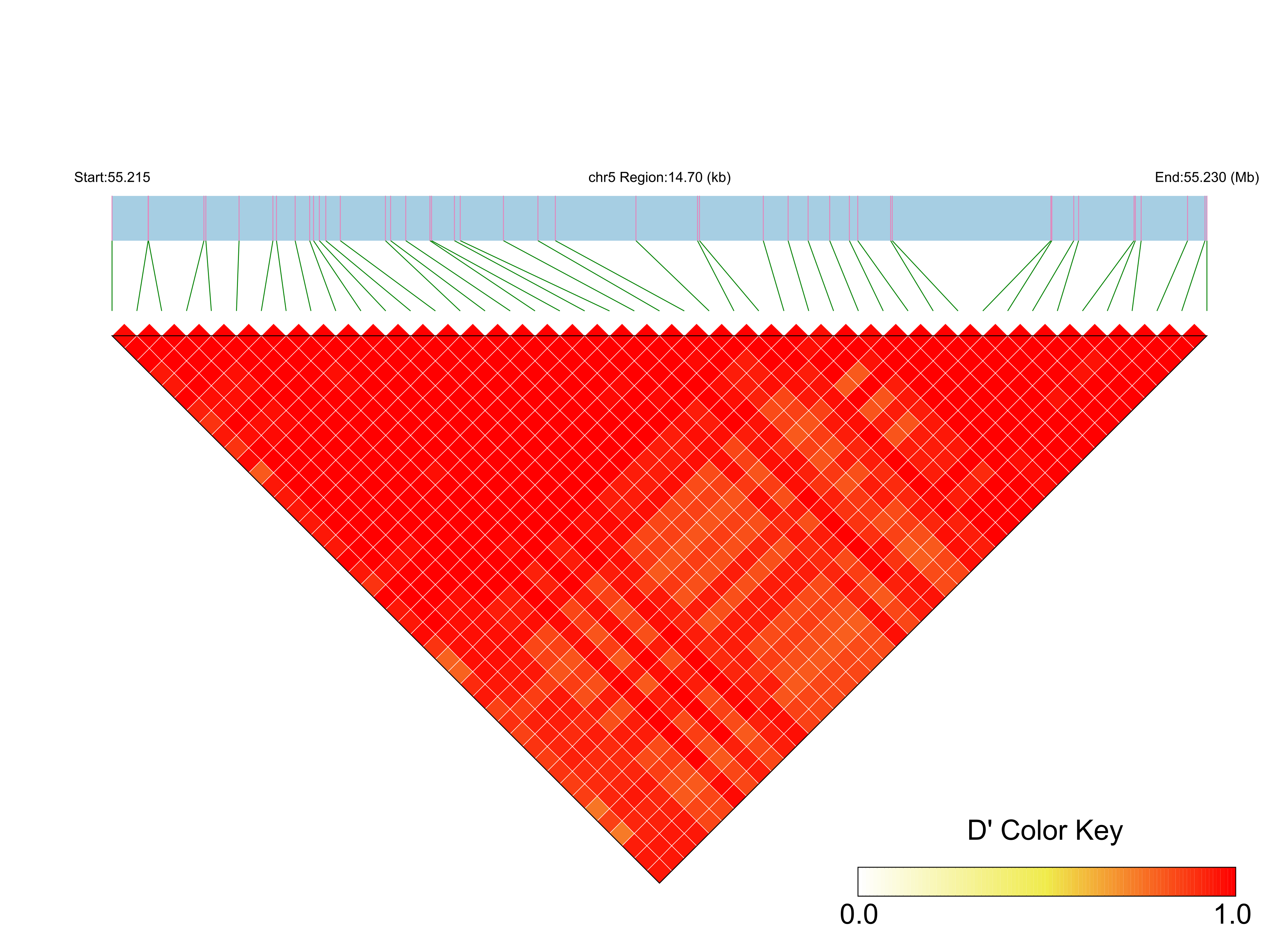LD