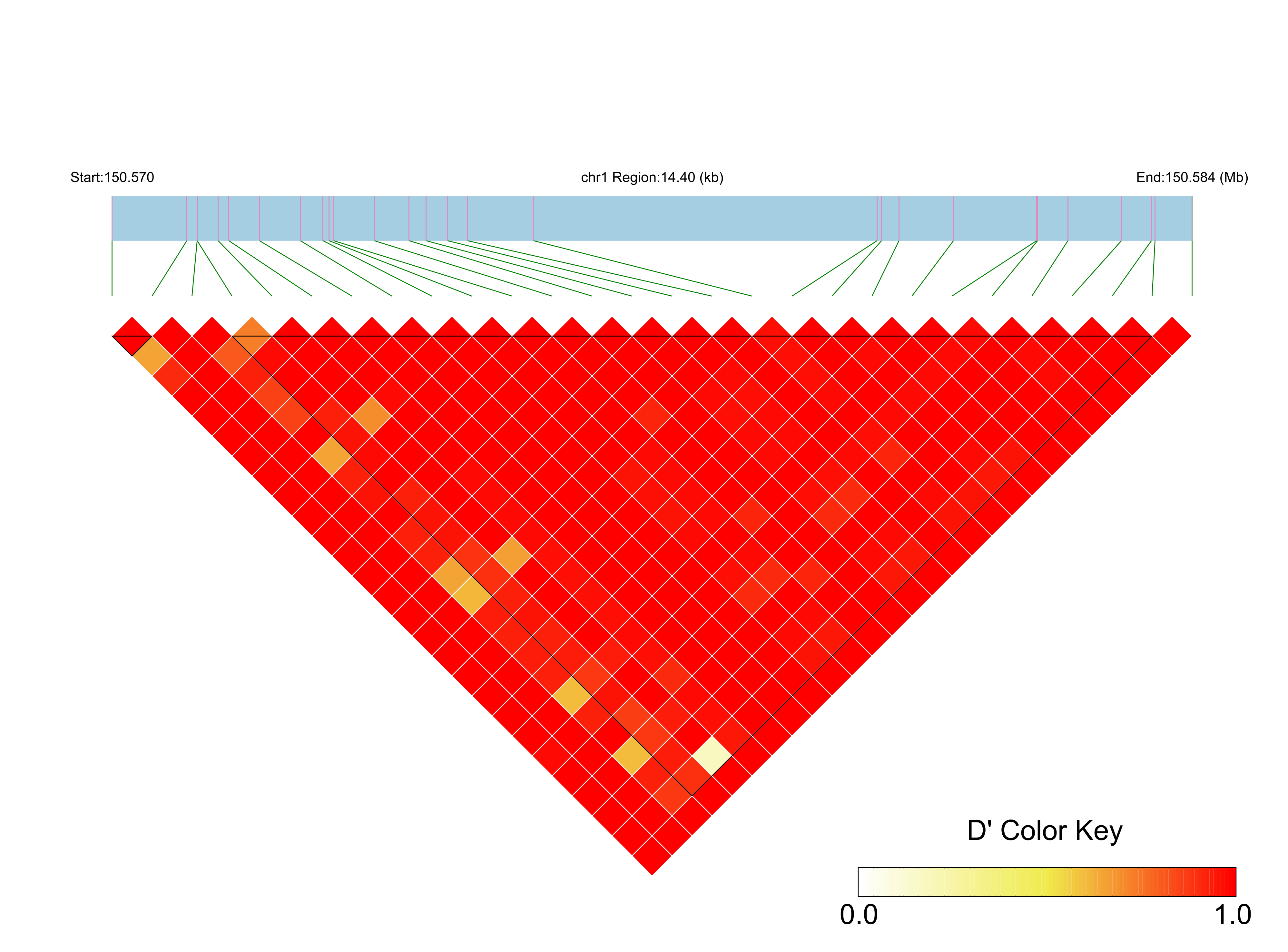 LD