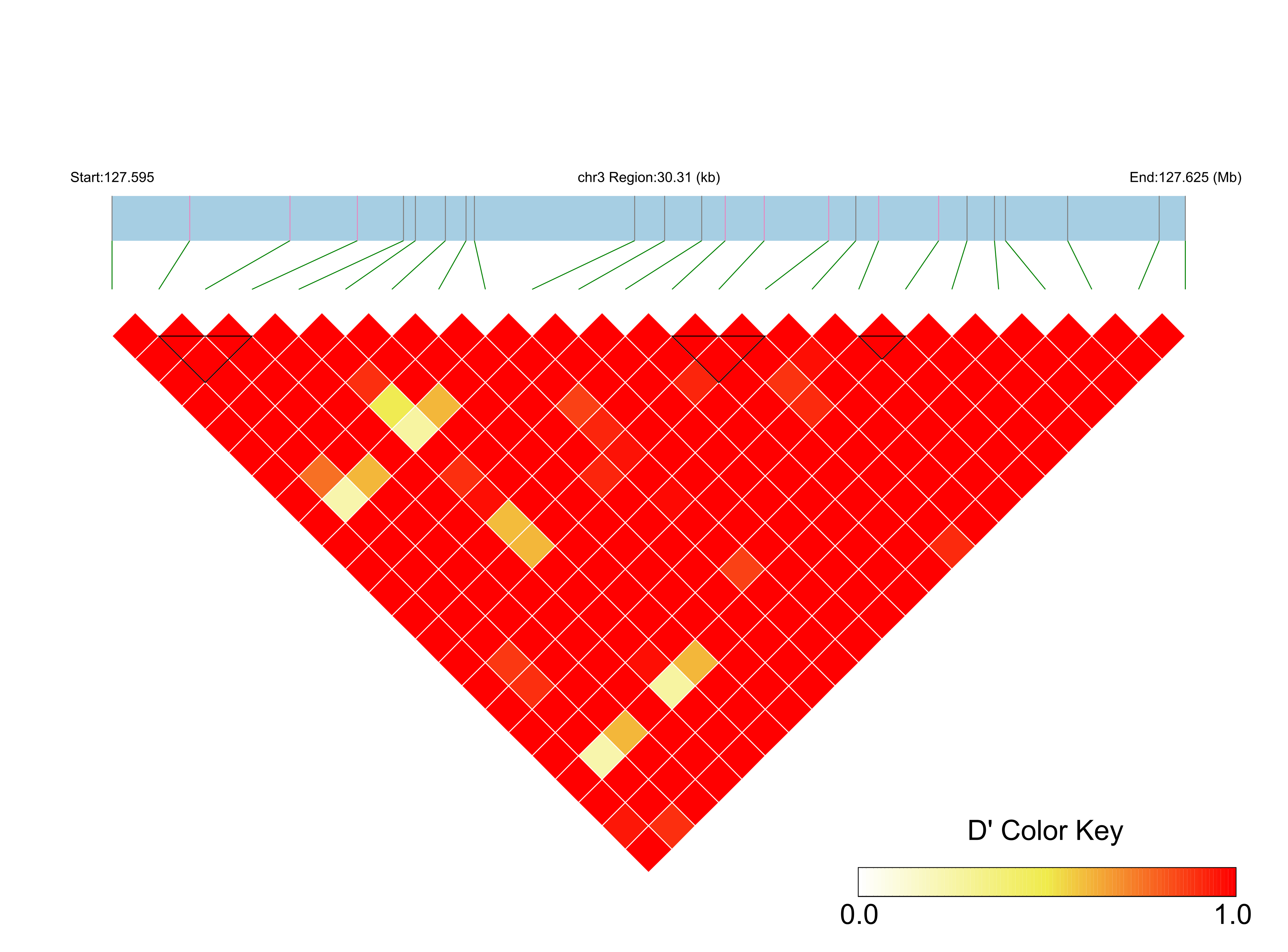 LD