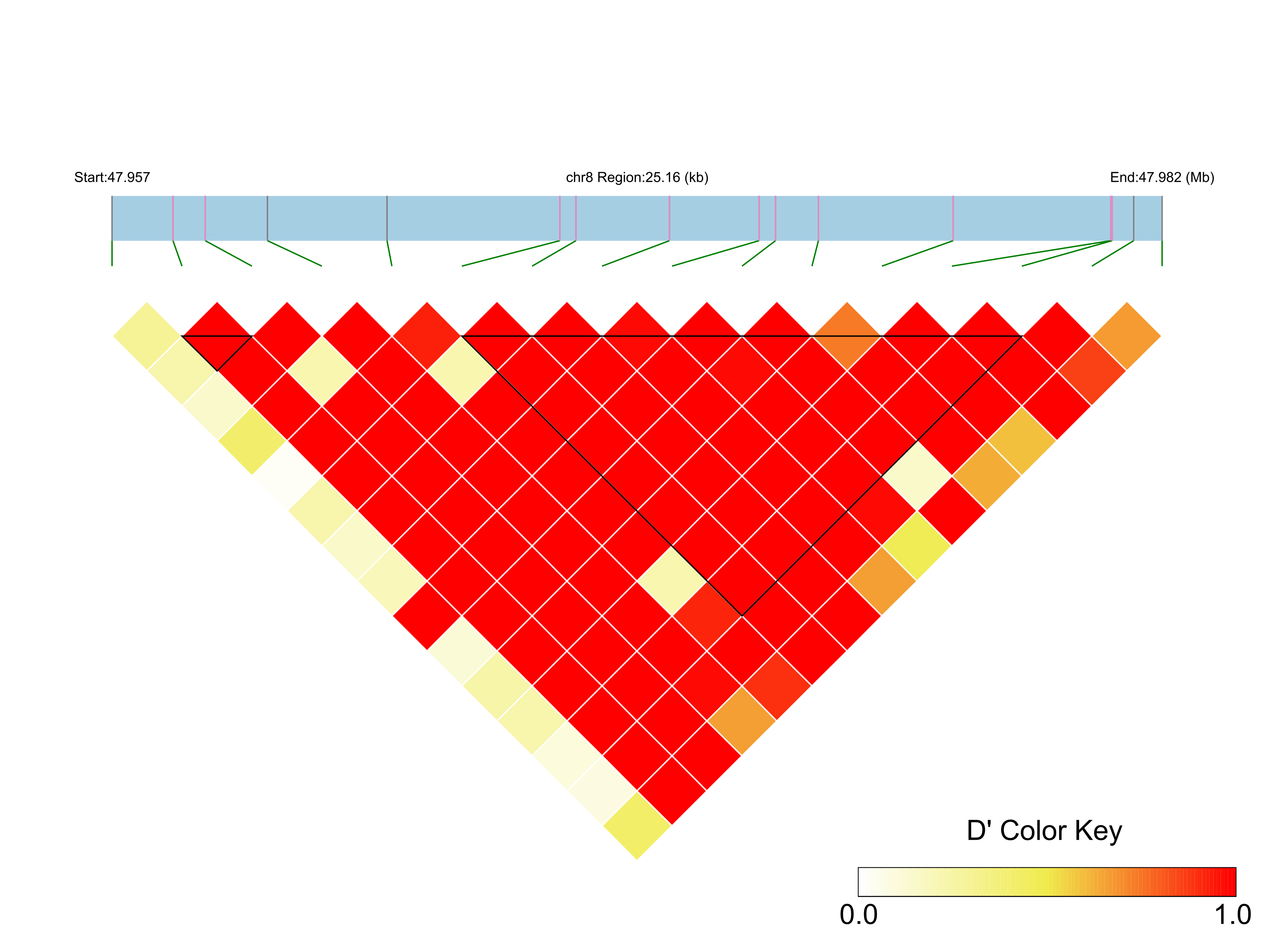 LD