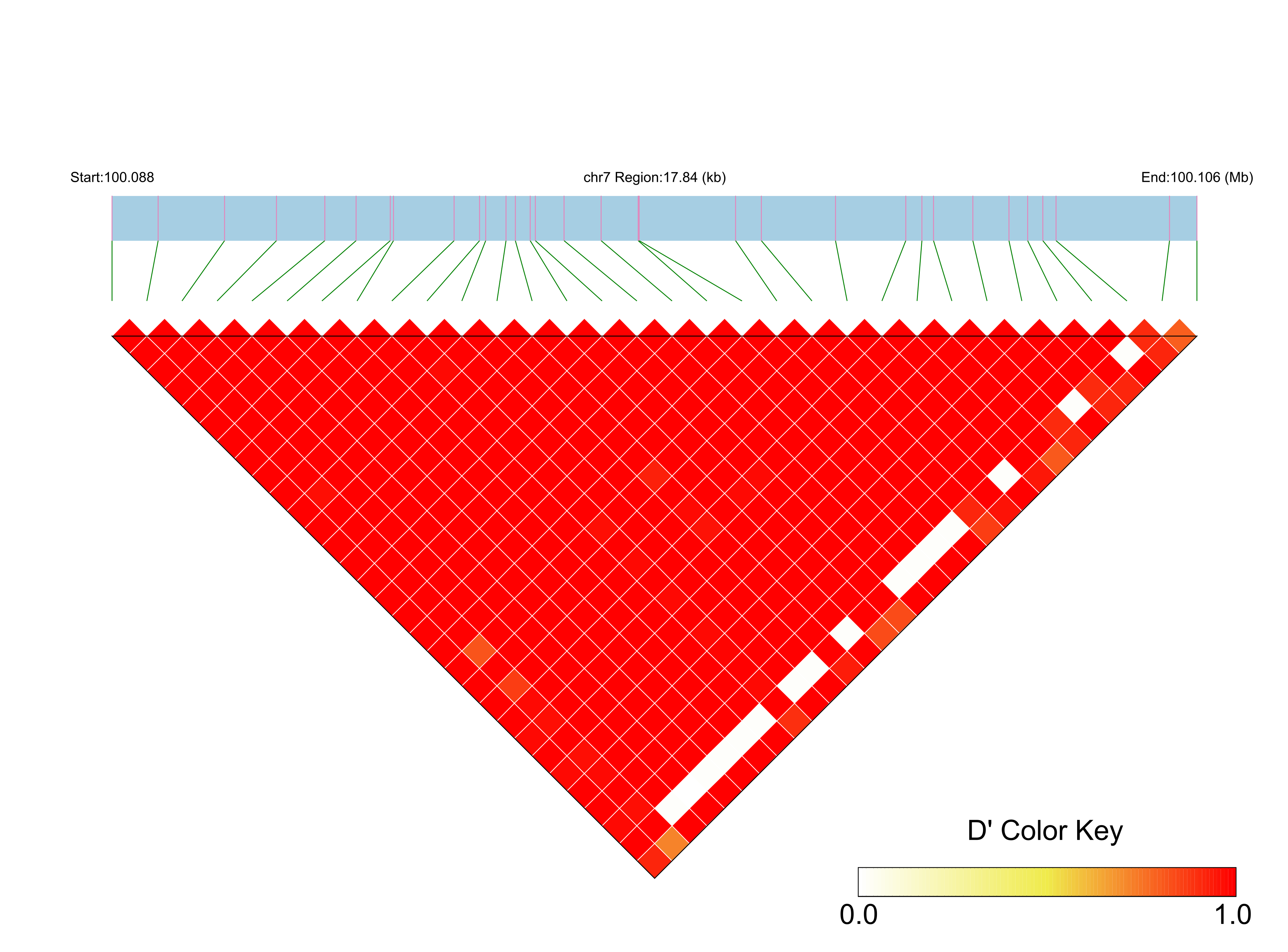 LD