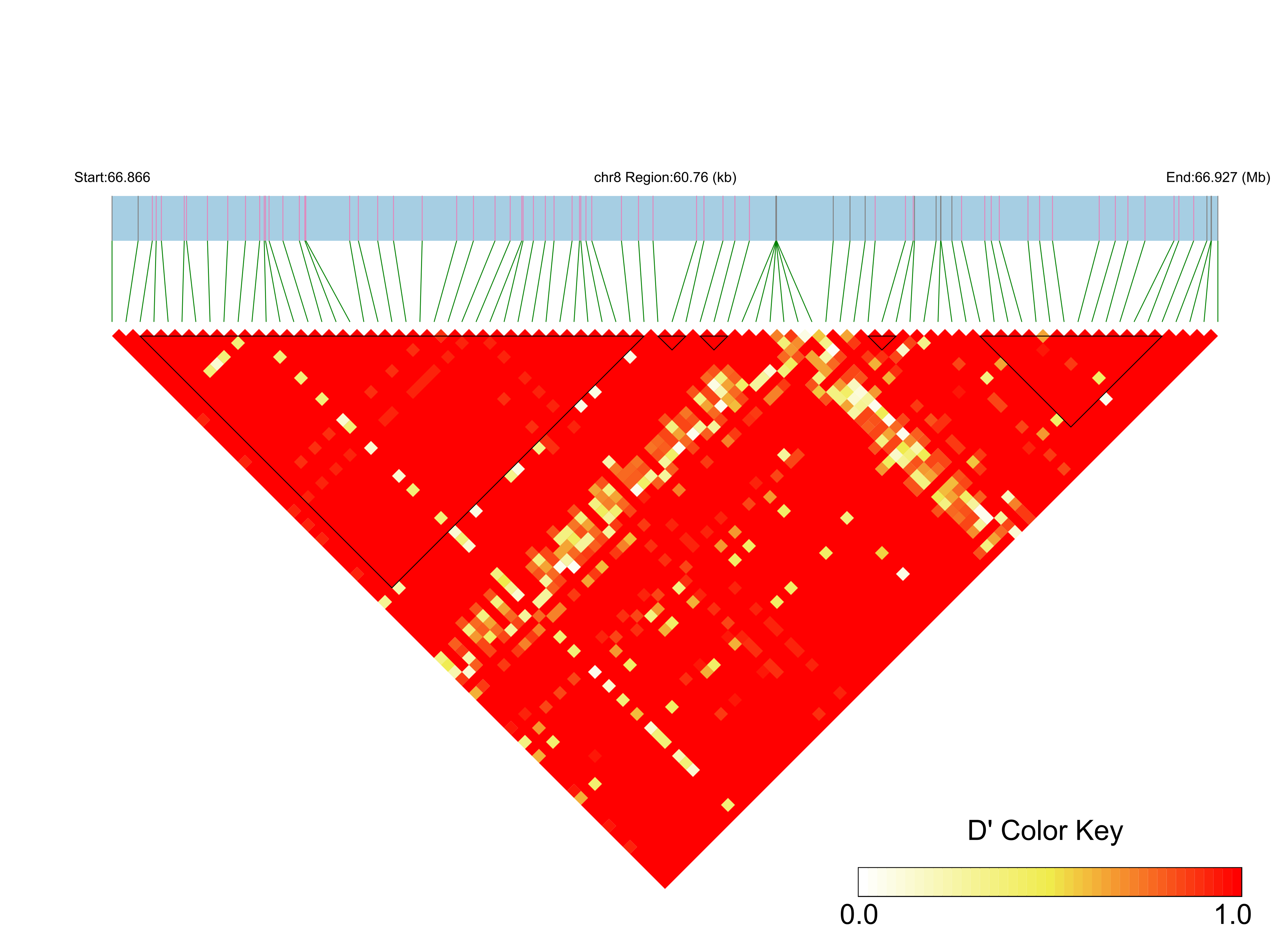 LD