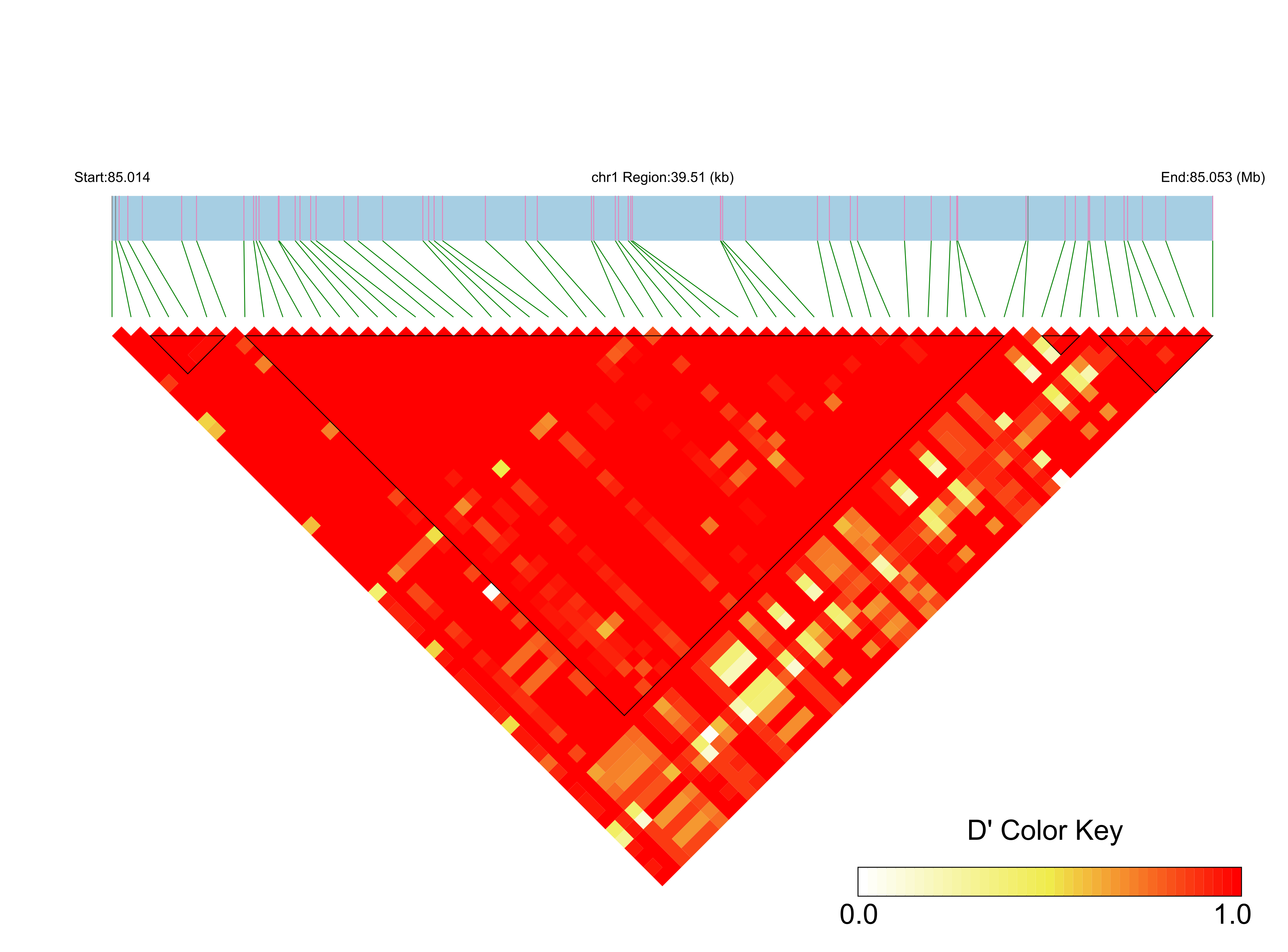 LD