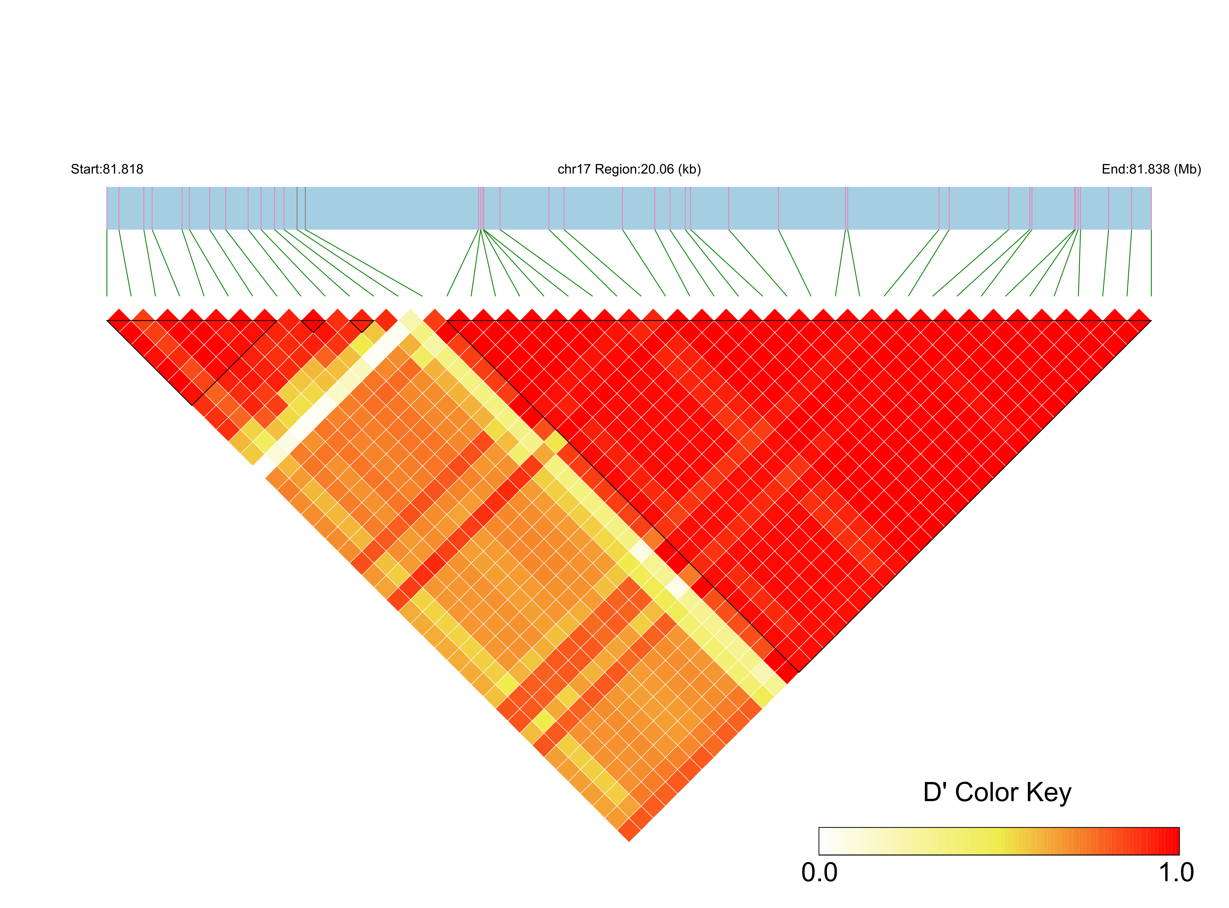 LD