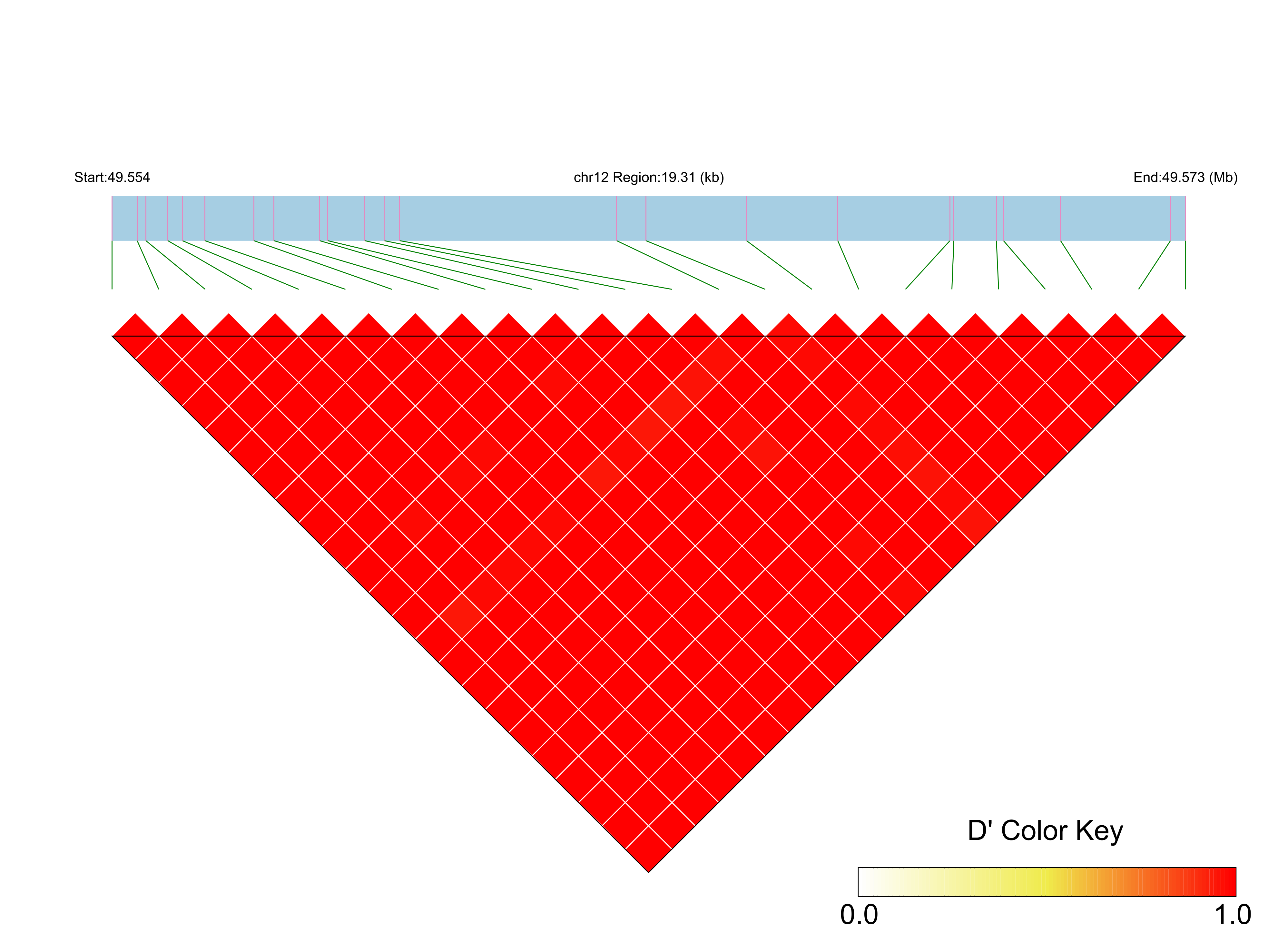 LD