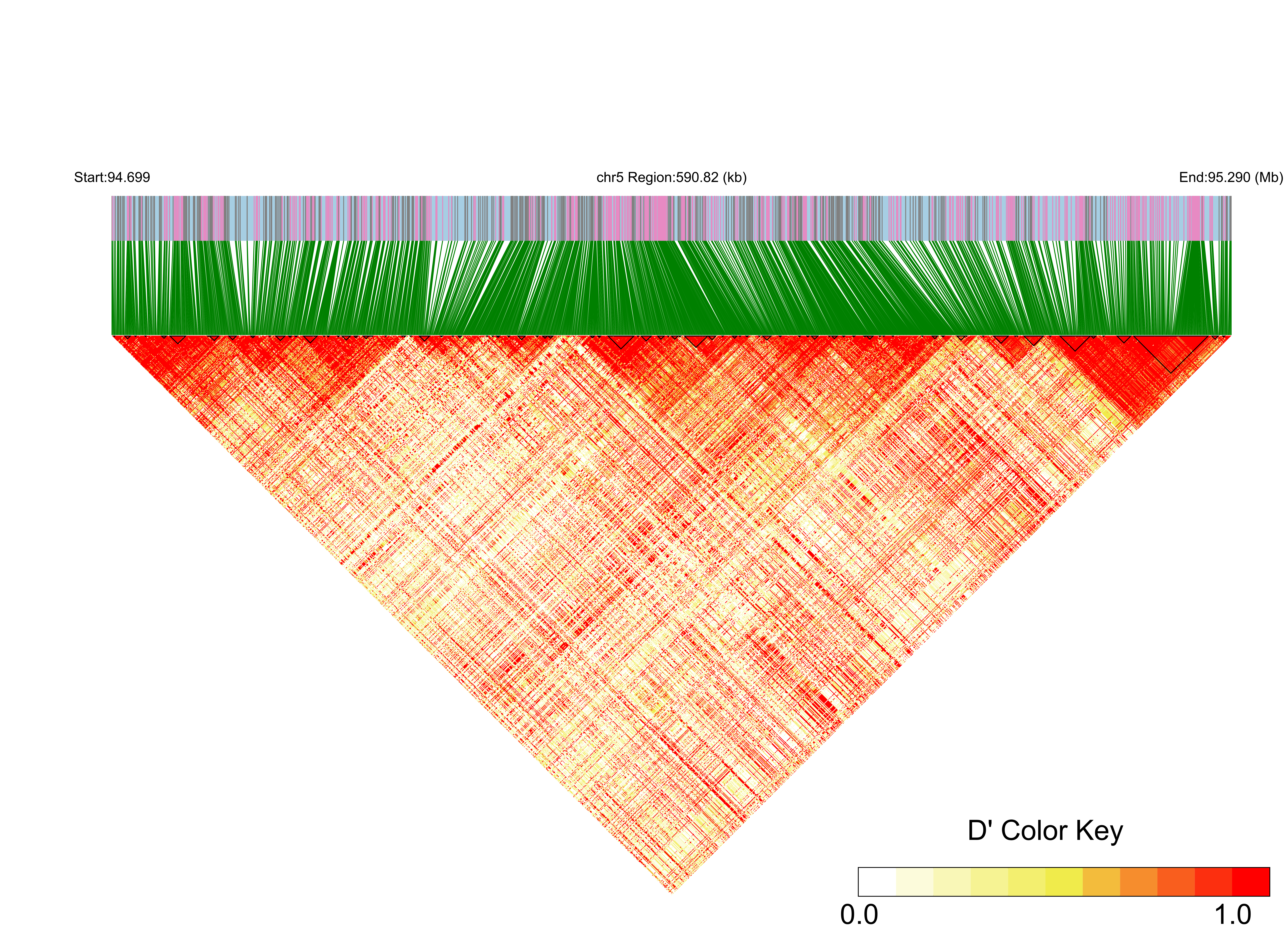 LD