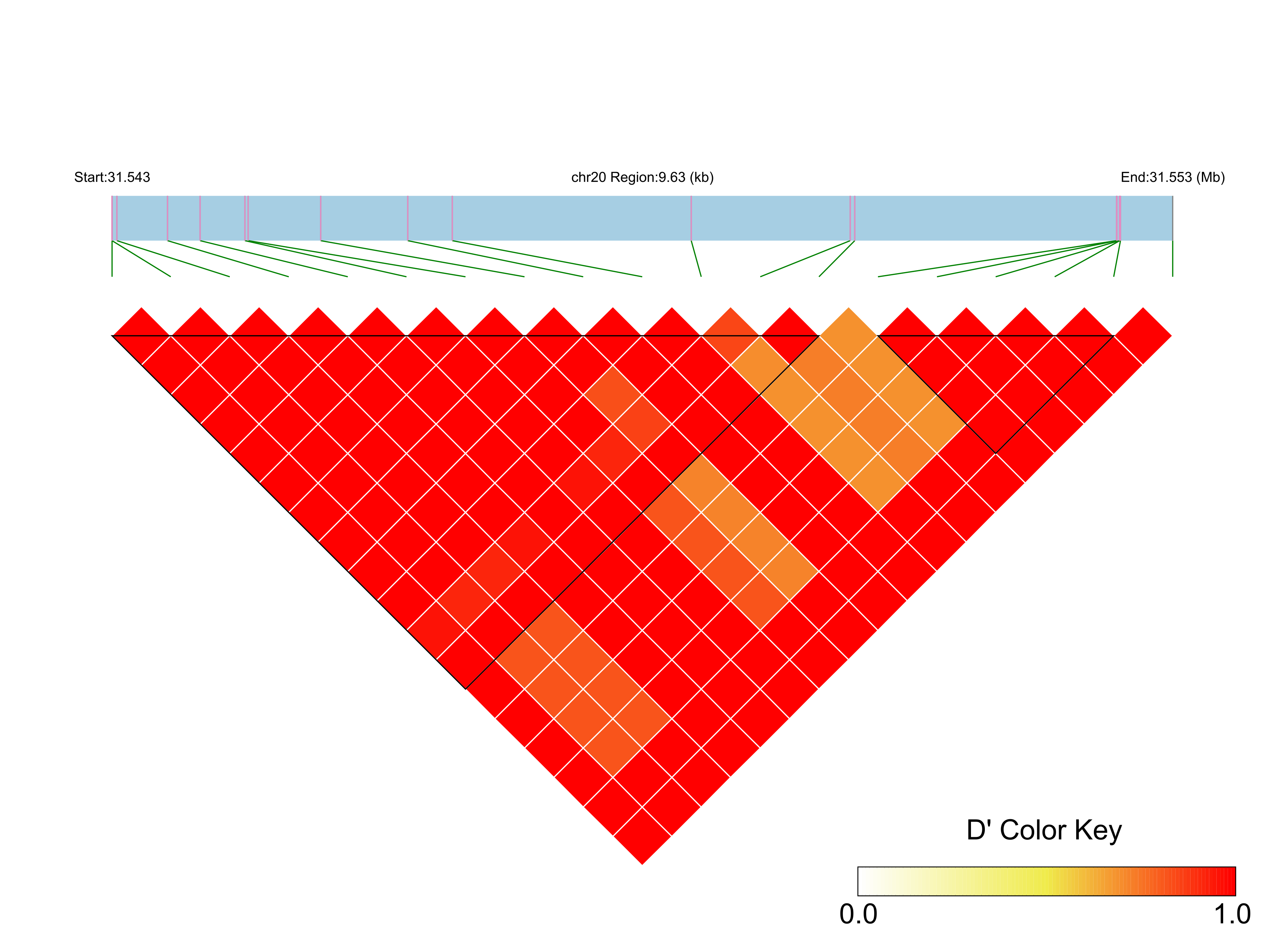 LD