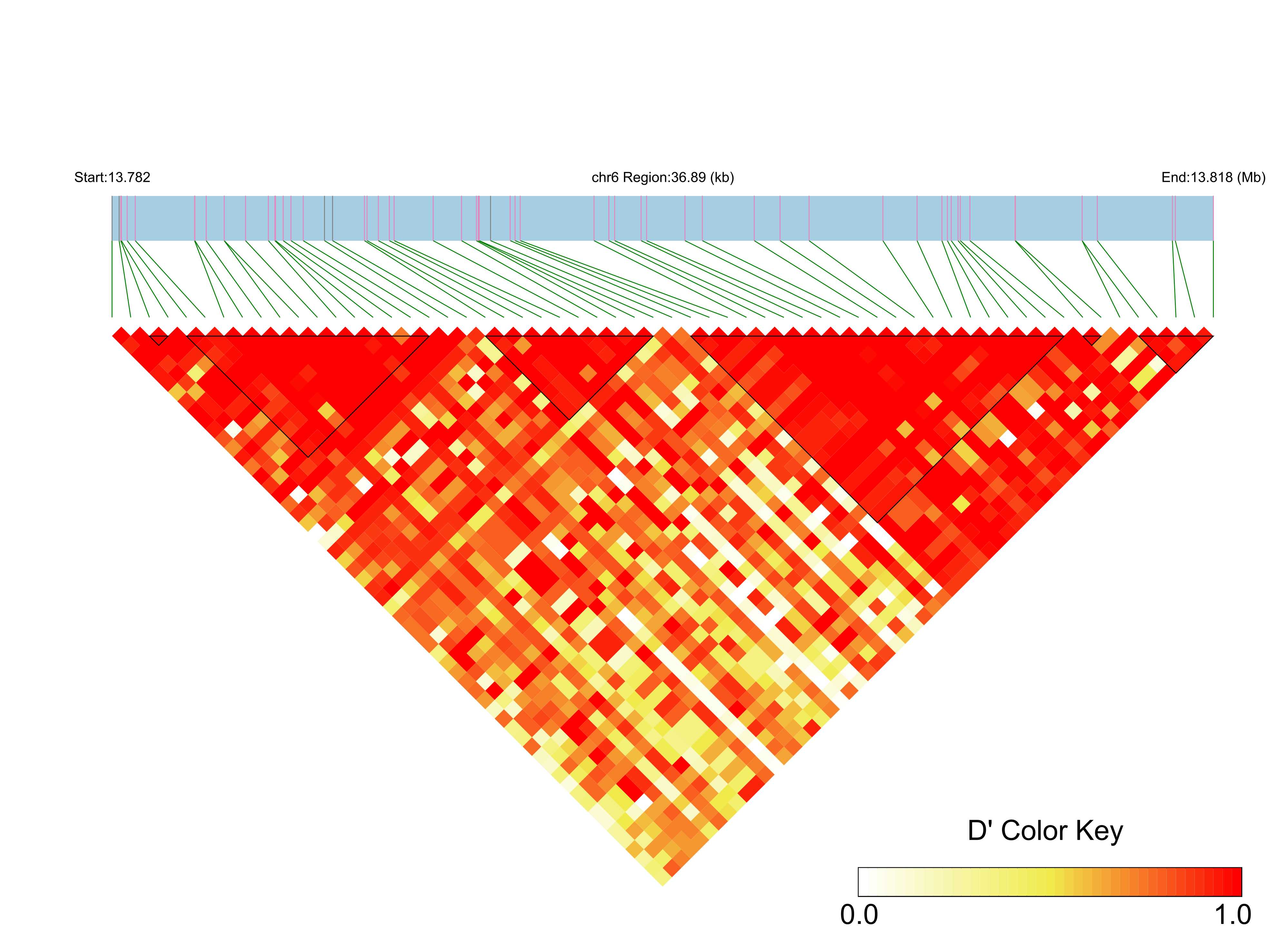 LD