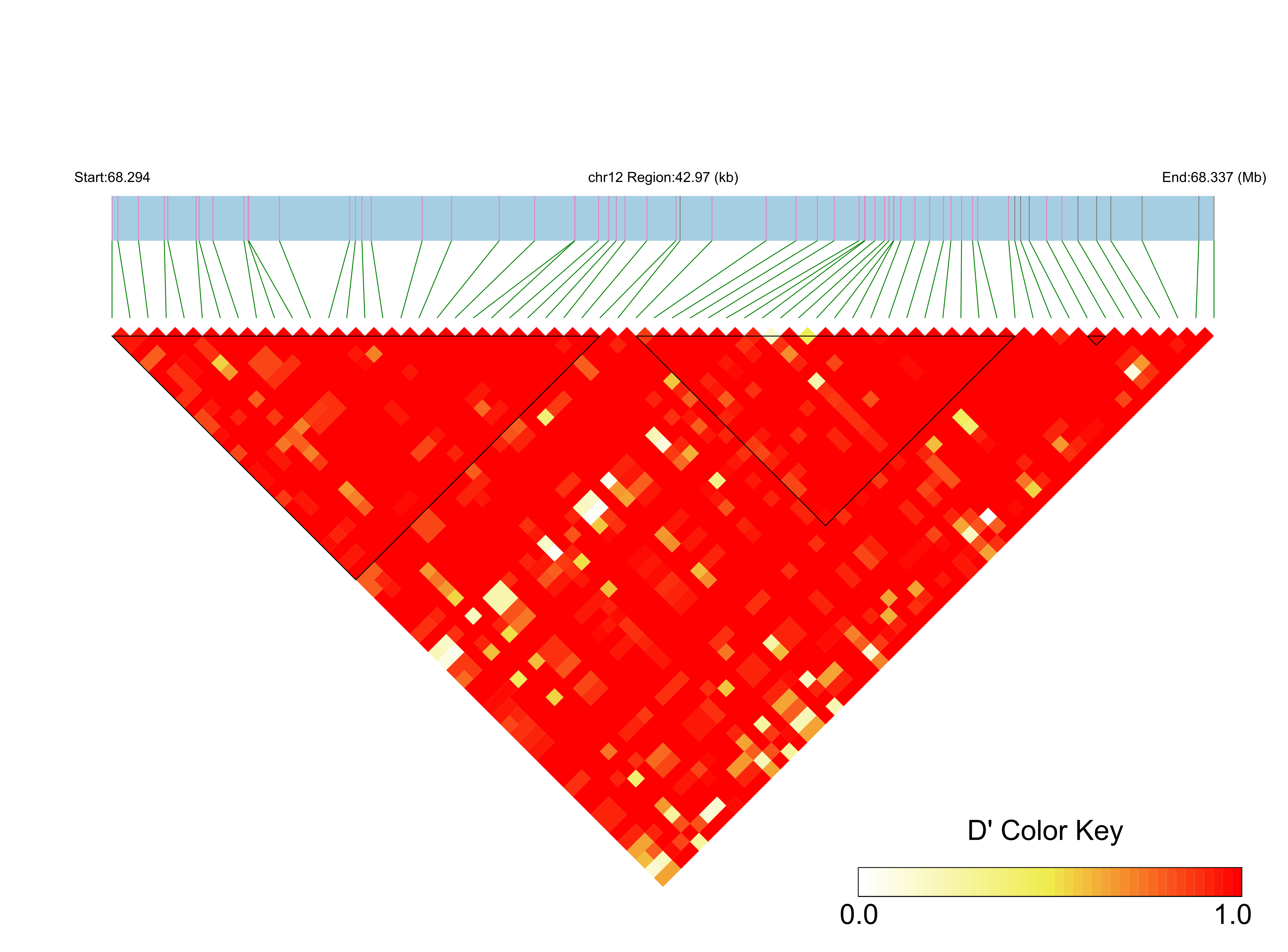 LD