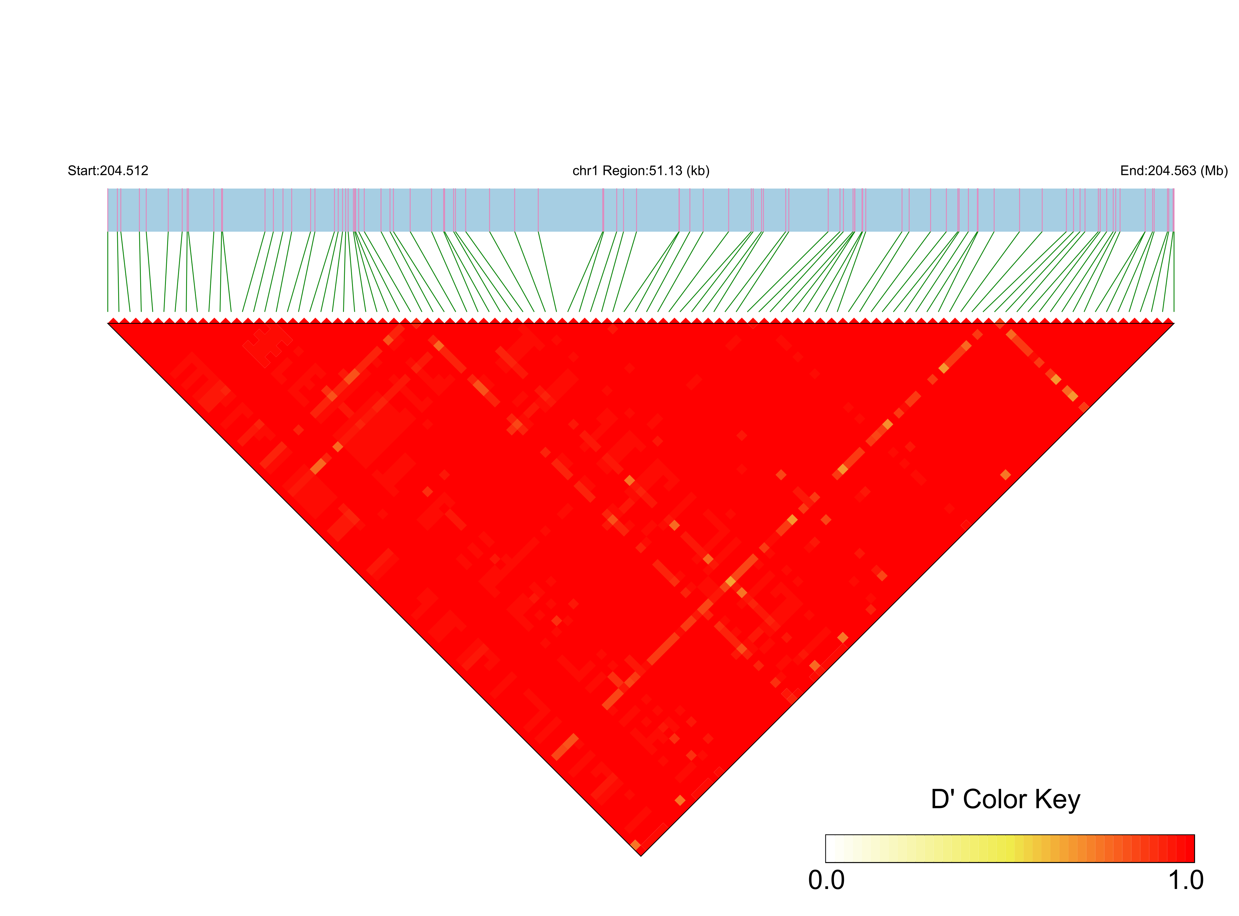 LD