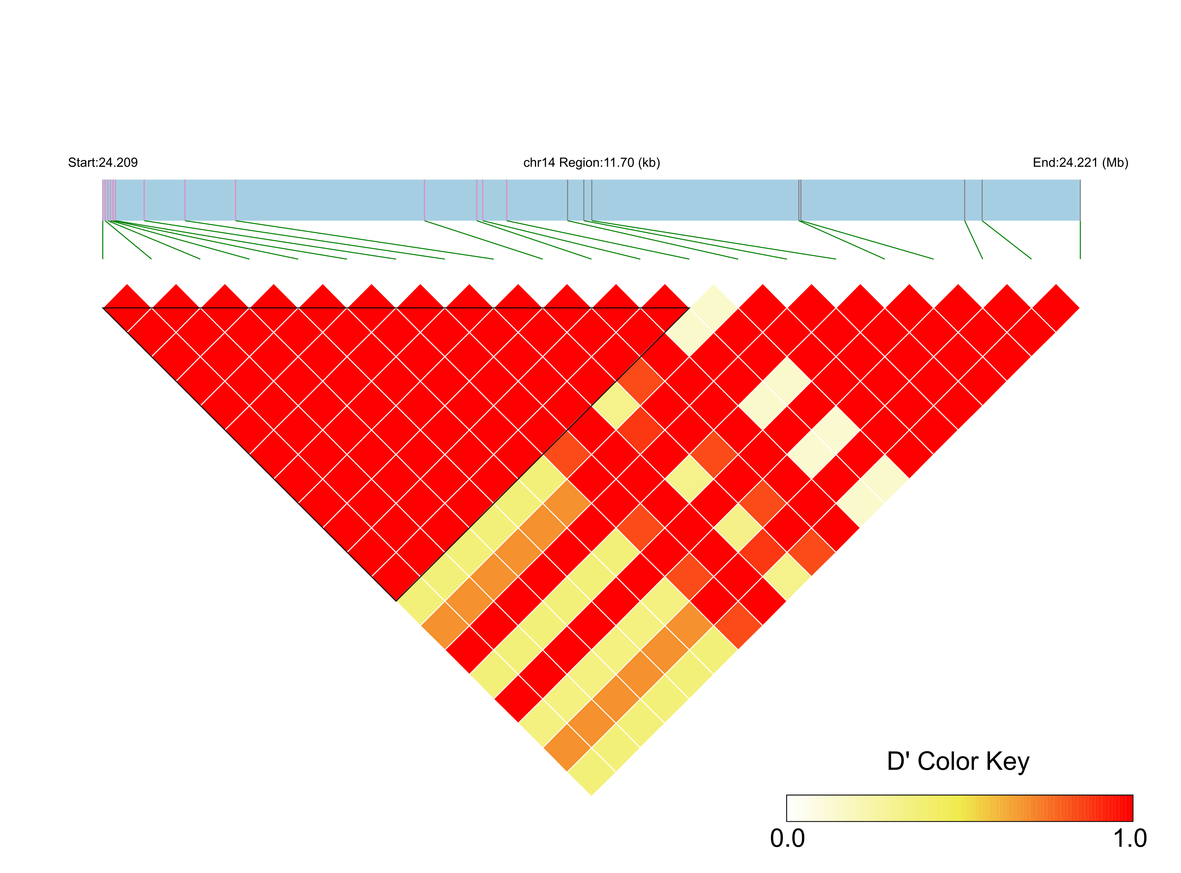 LD