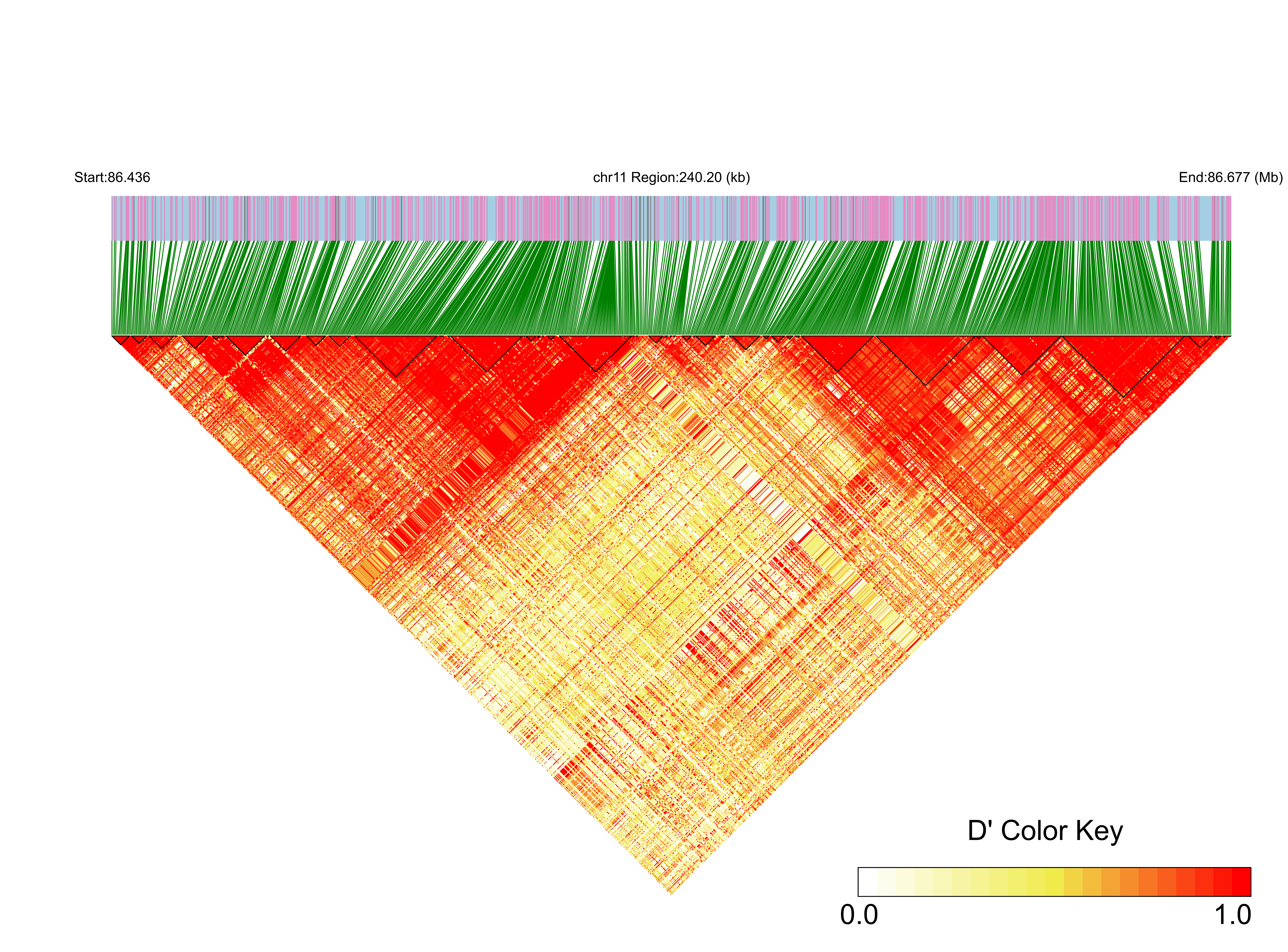 LD
