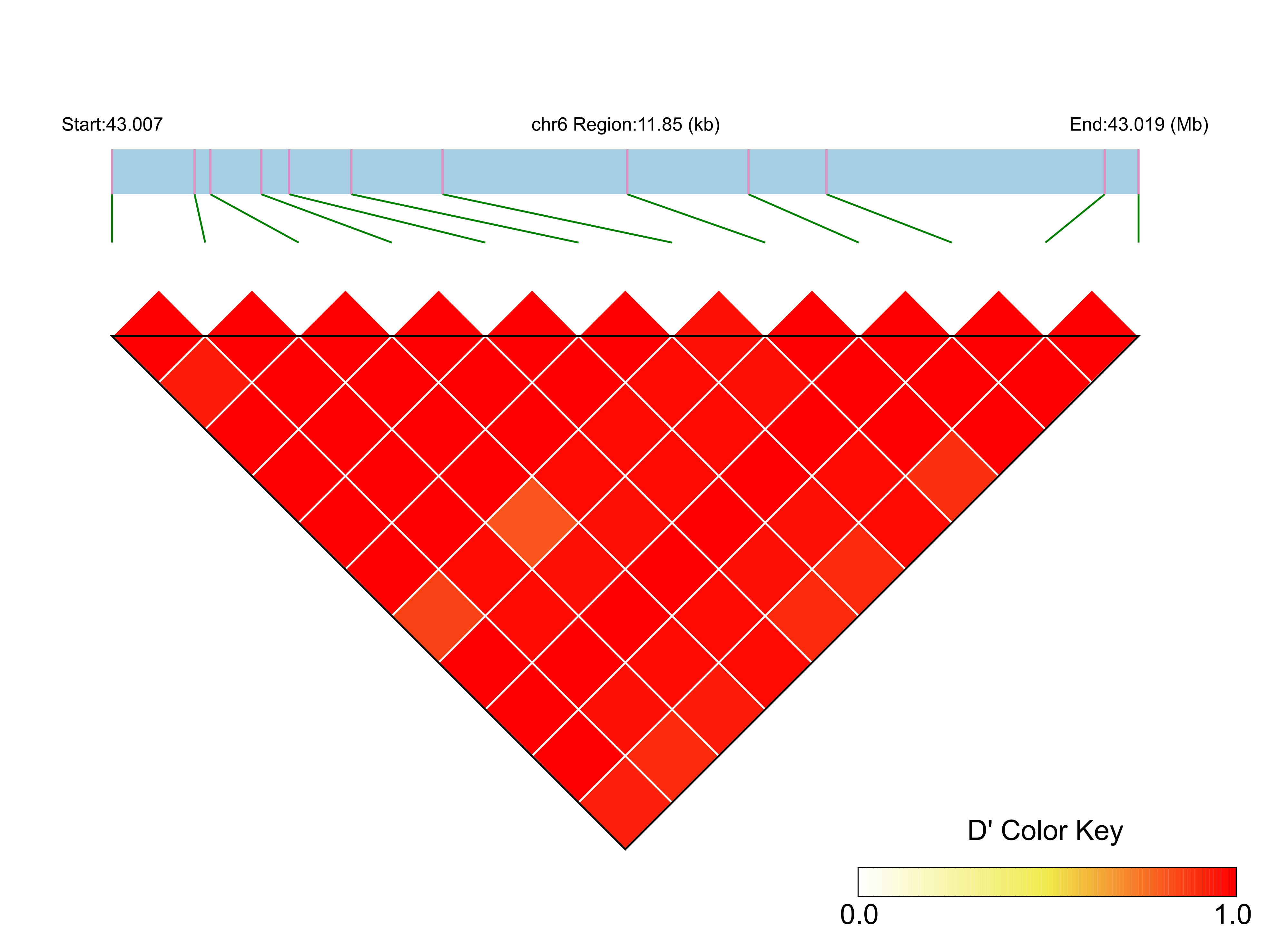 LD
