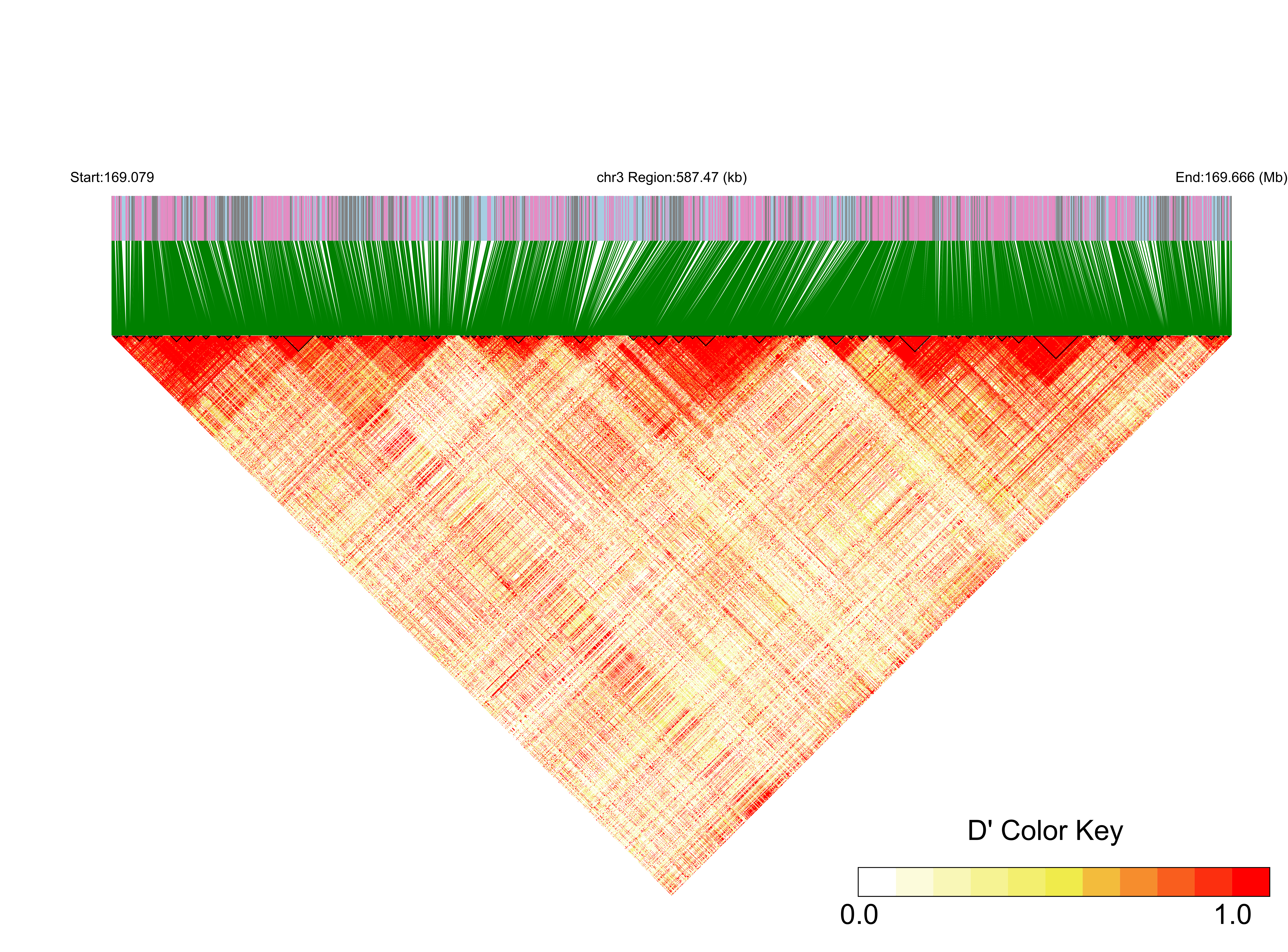 LD