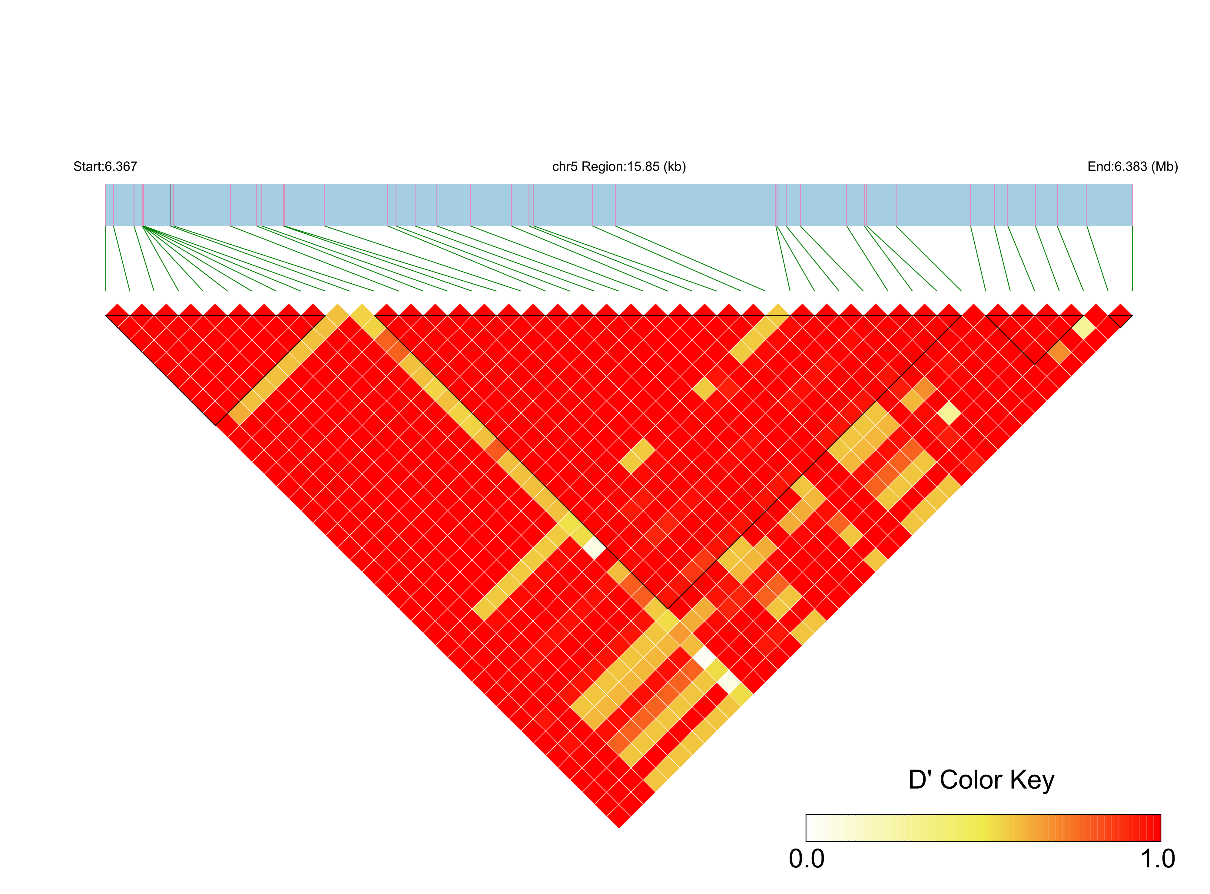 LD