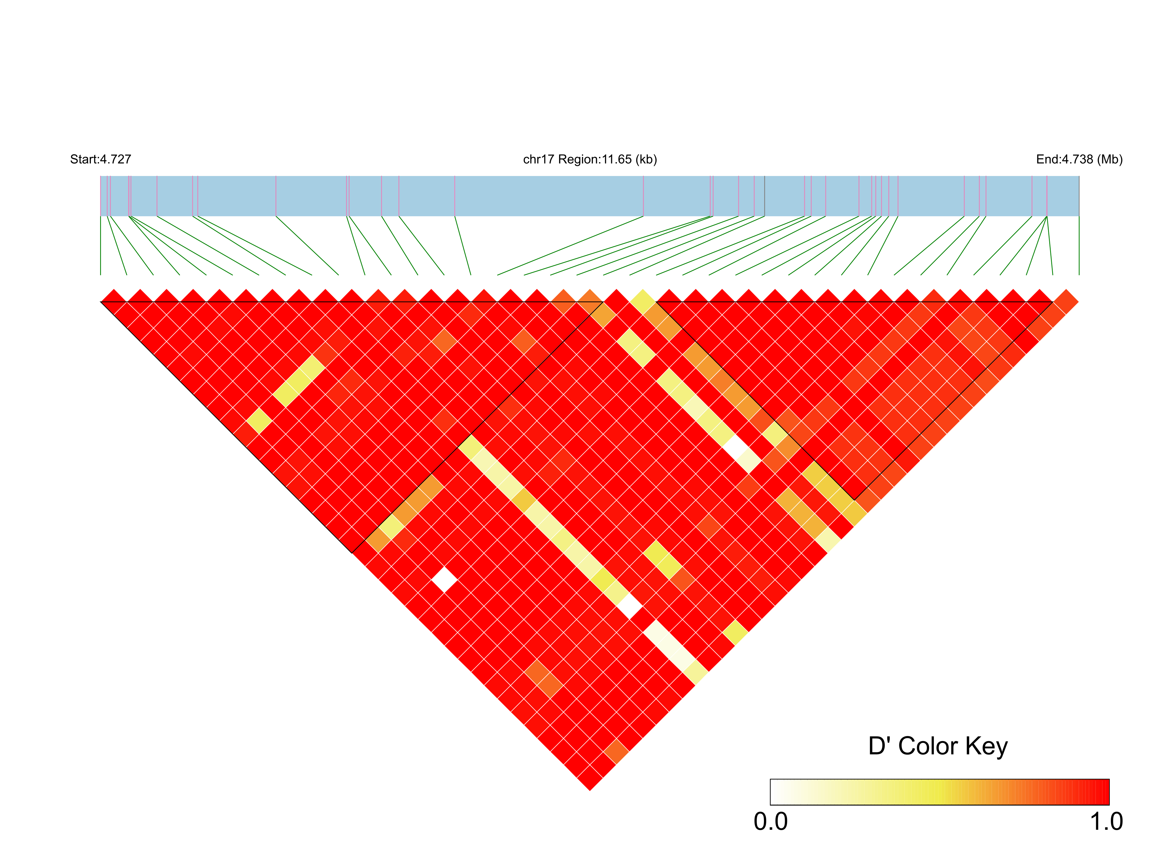 LD
