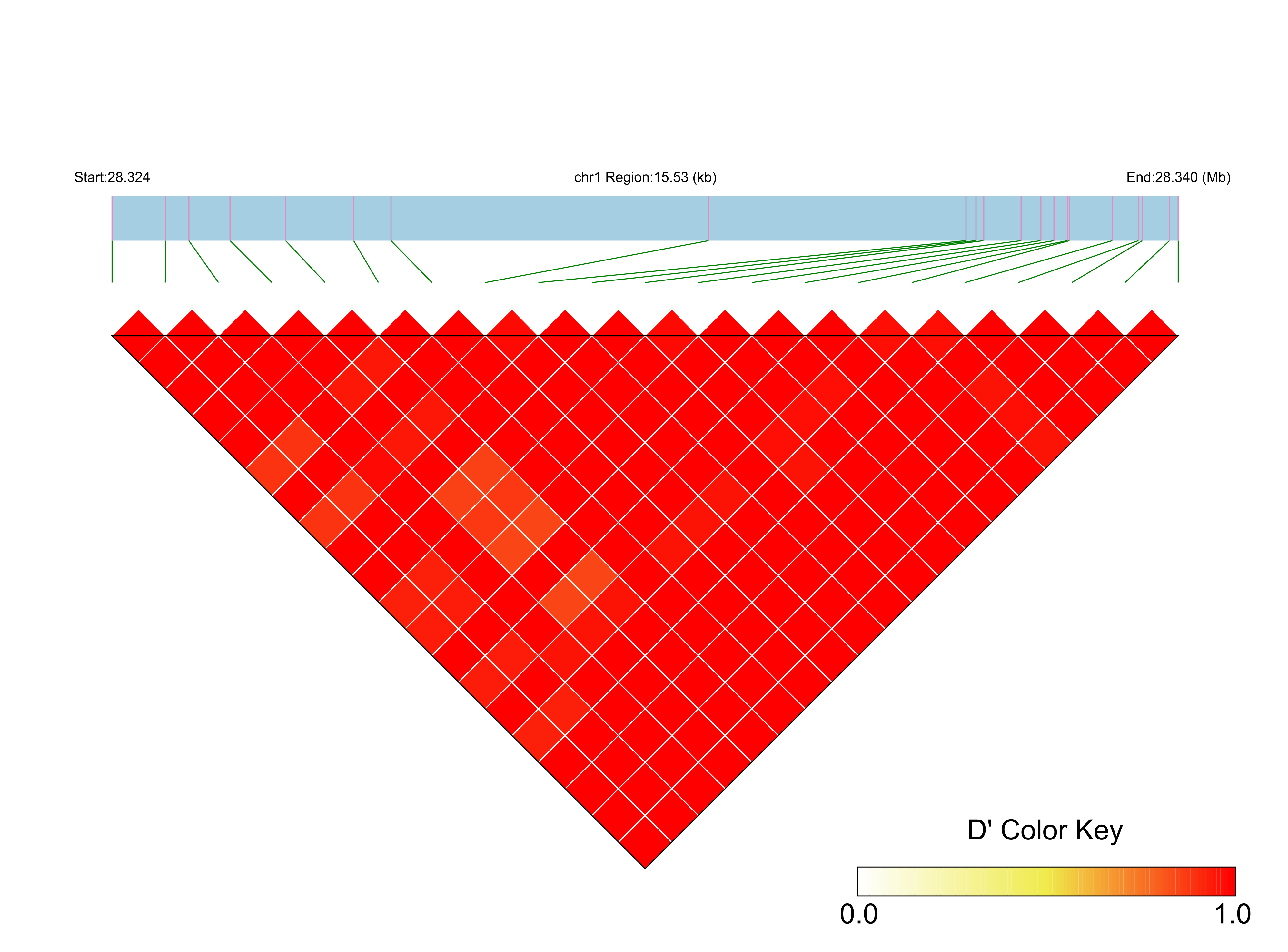 LD