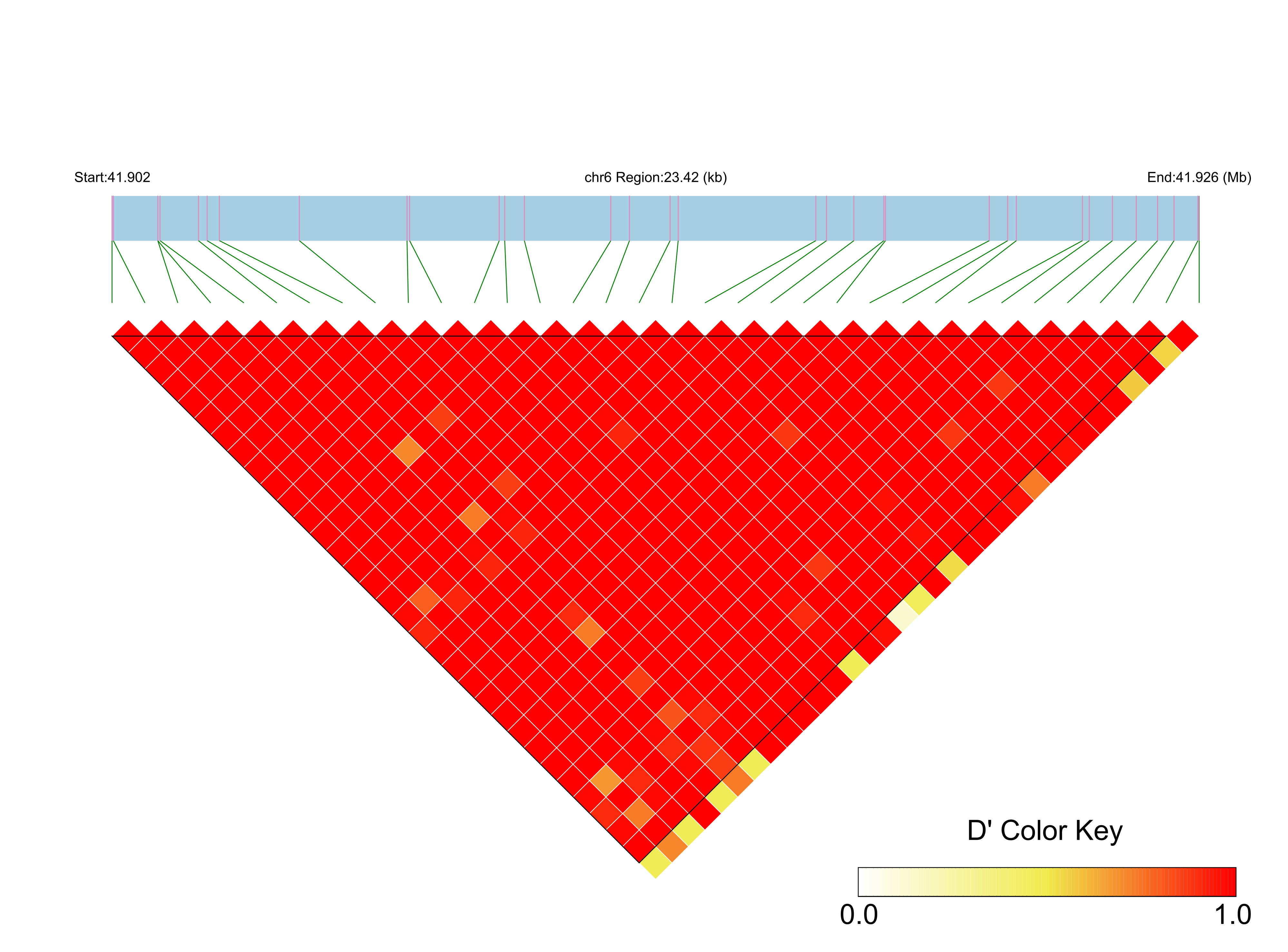 LD