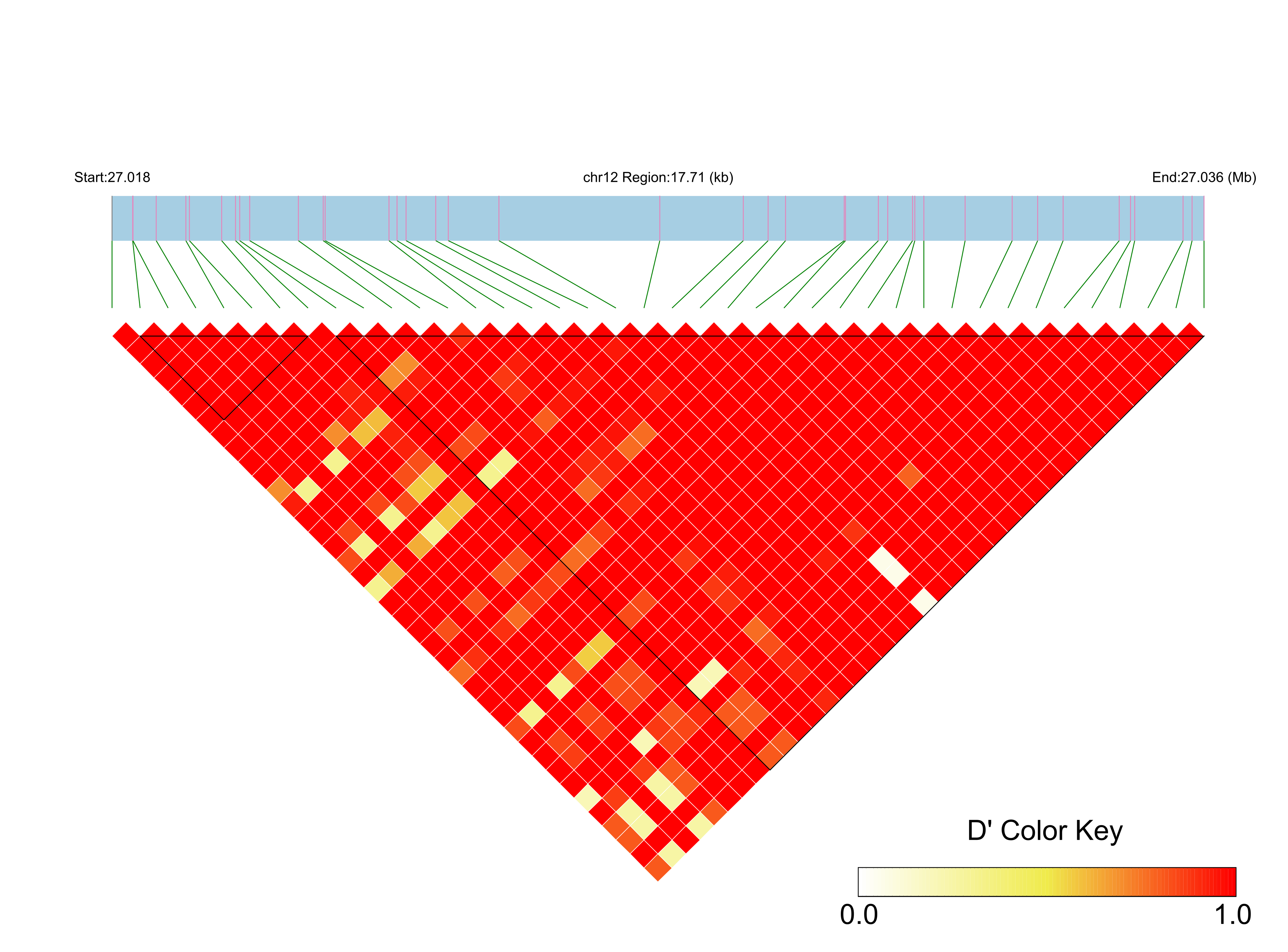 LD
