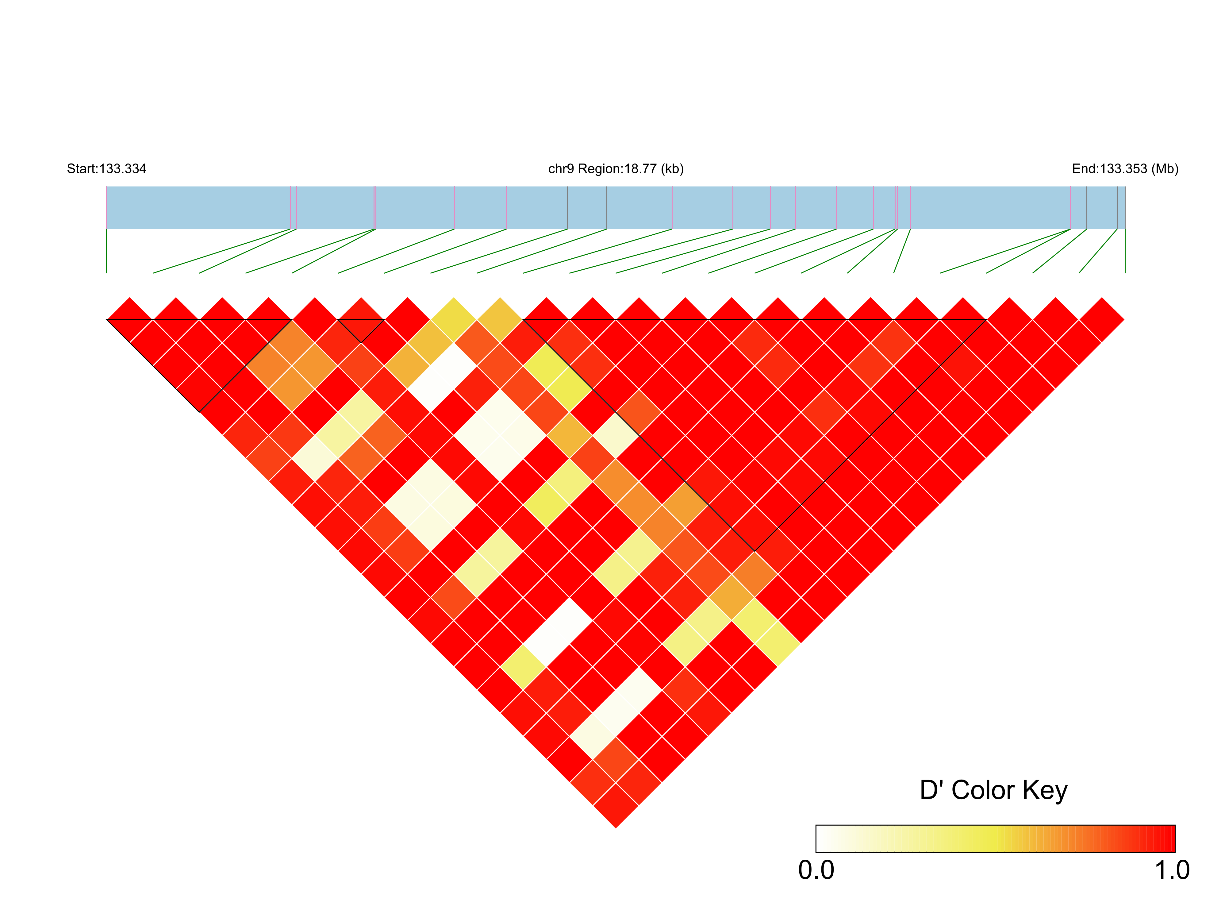 LD