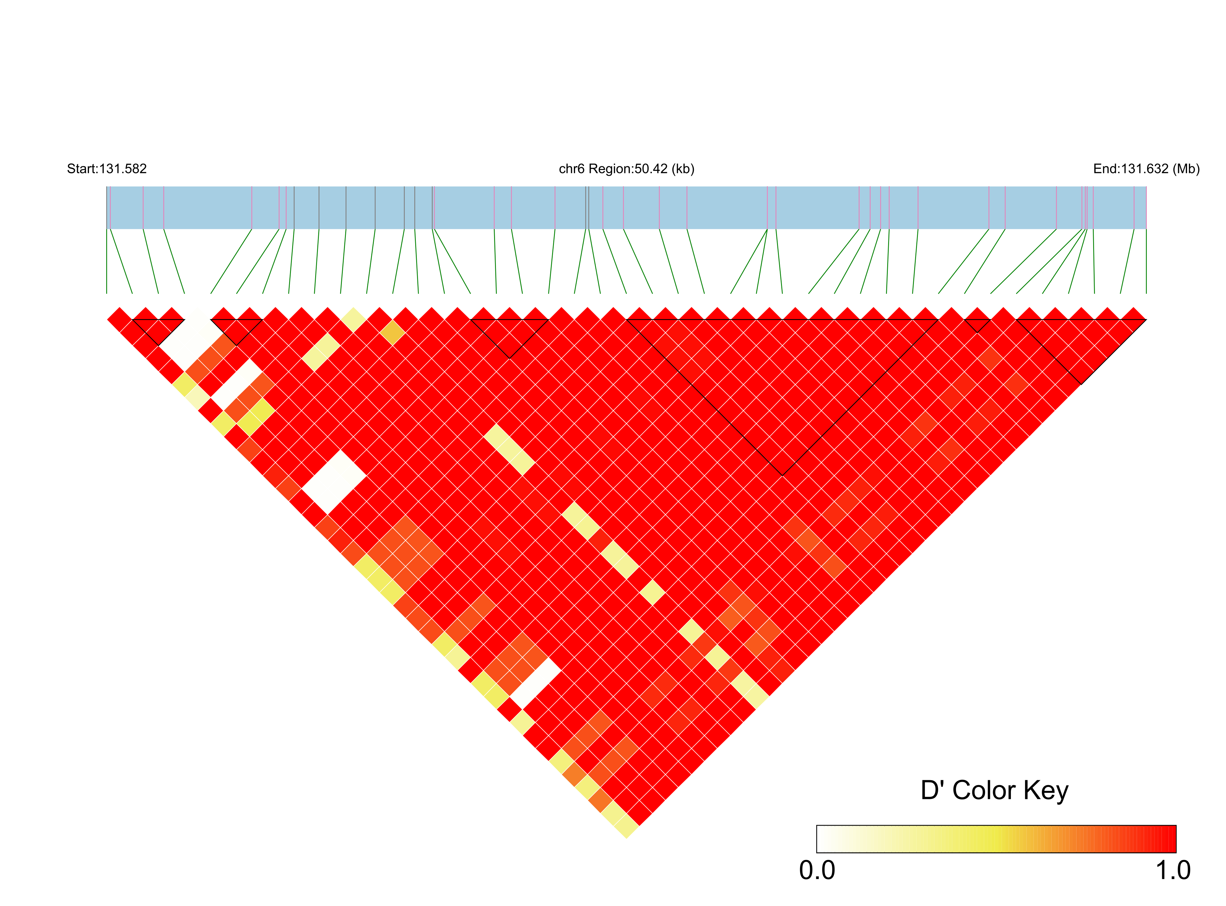 LD