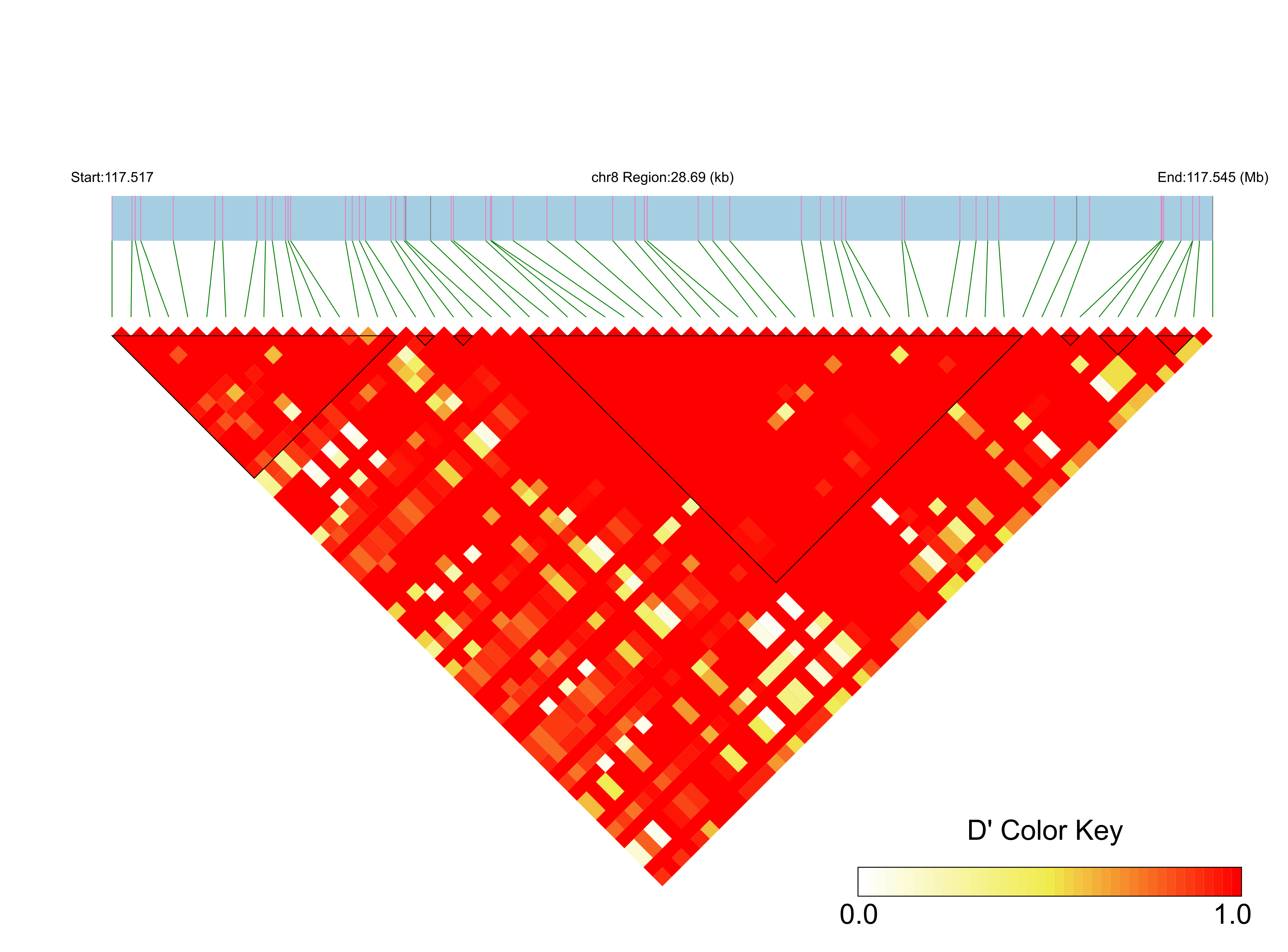 LD