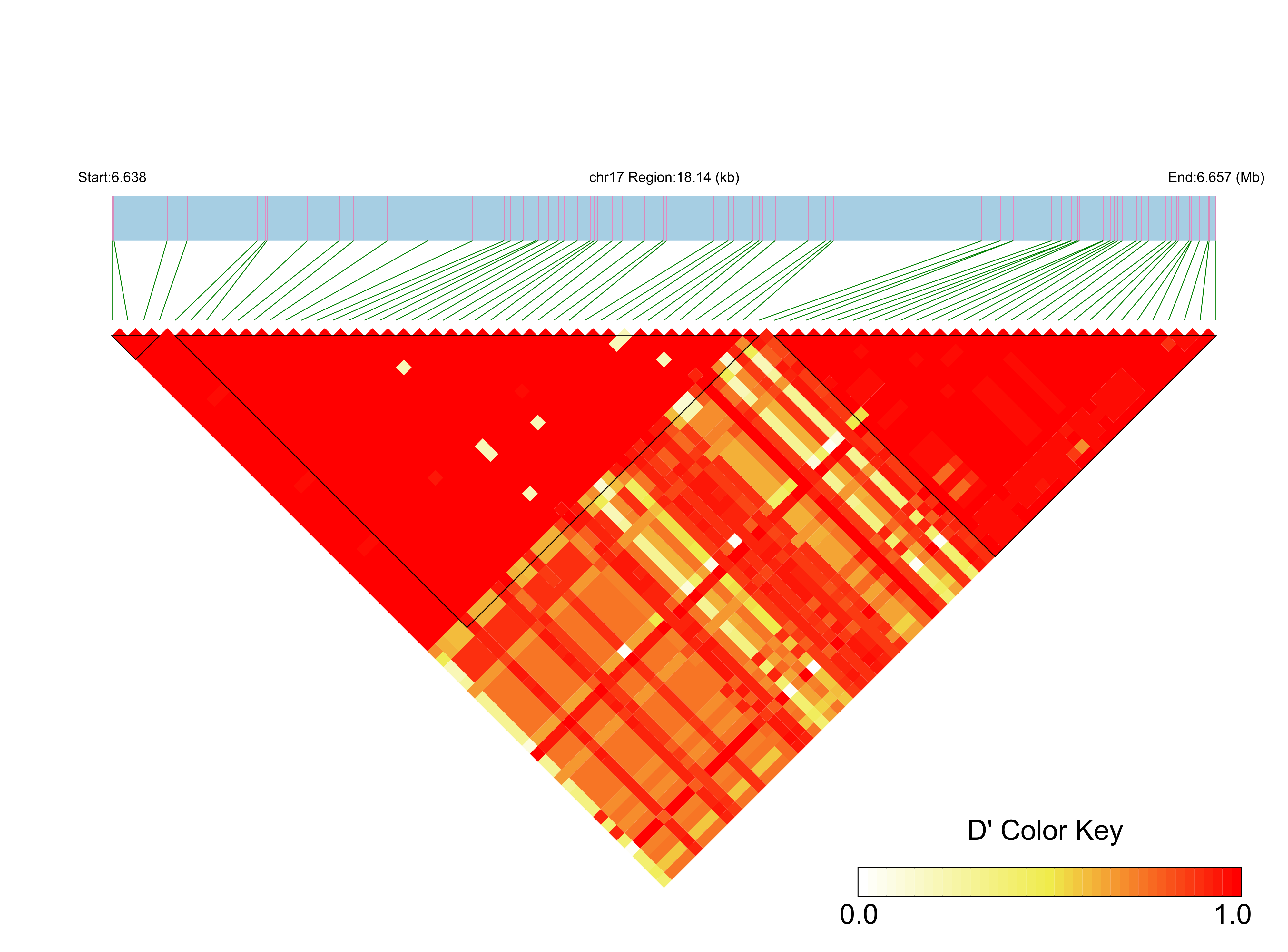 LD