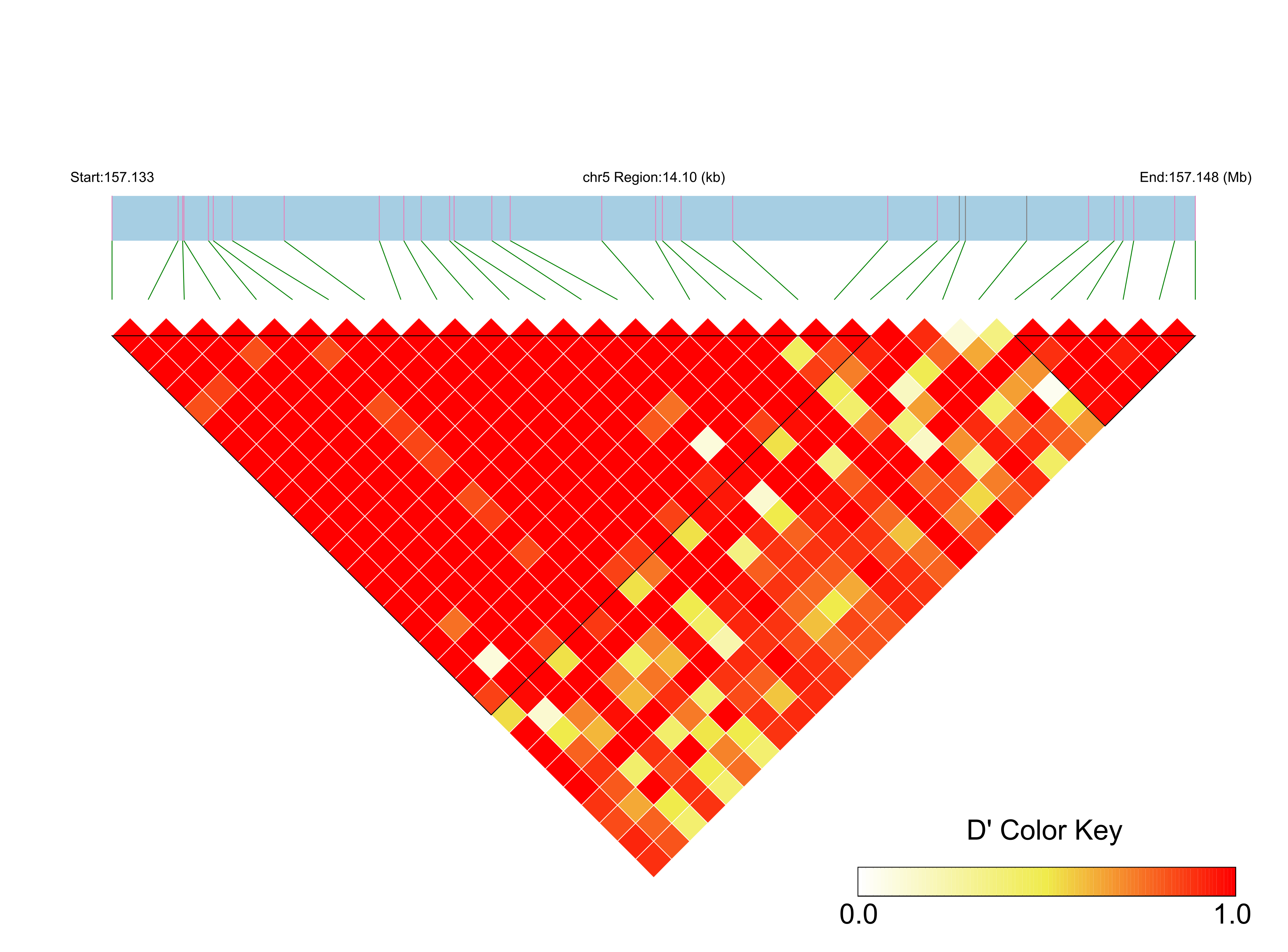 LD