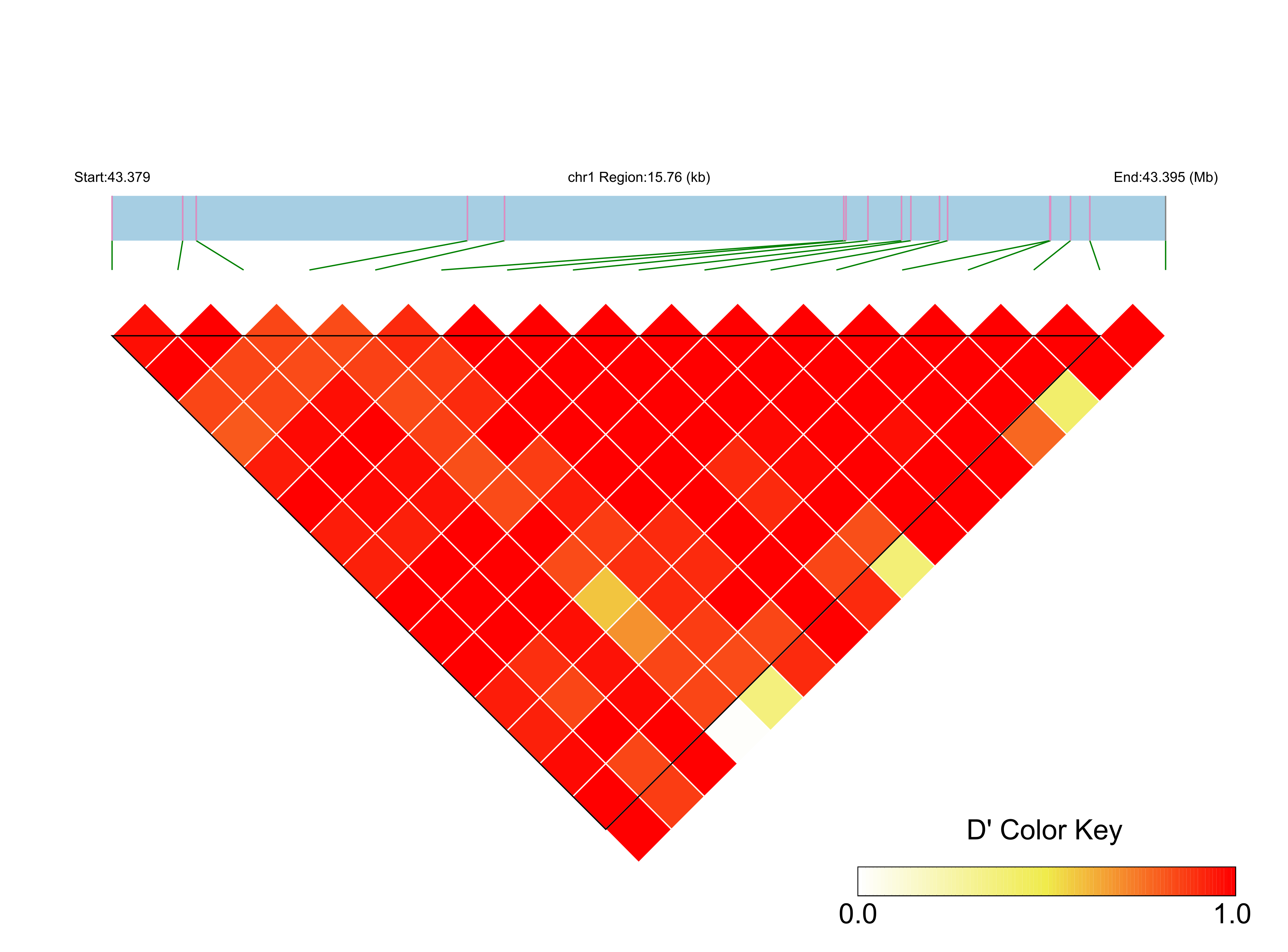 LD
