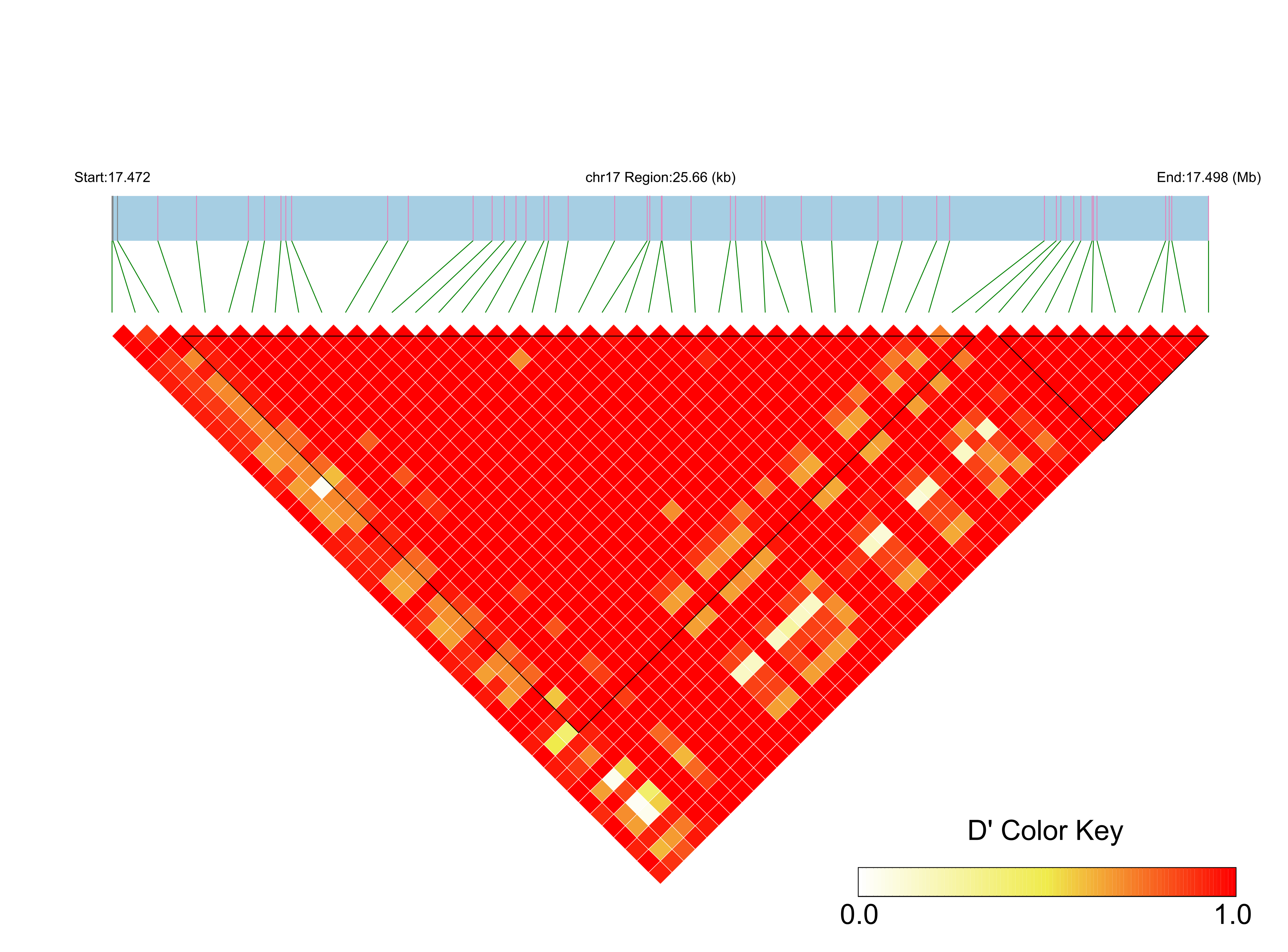 LD