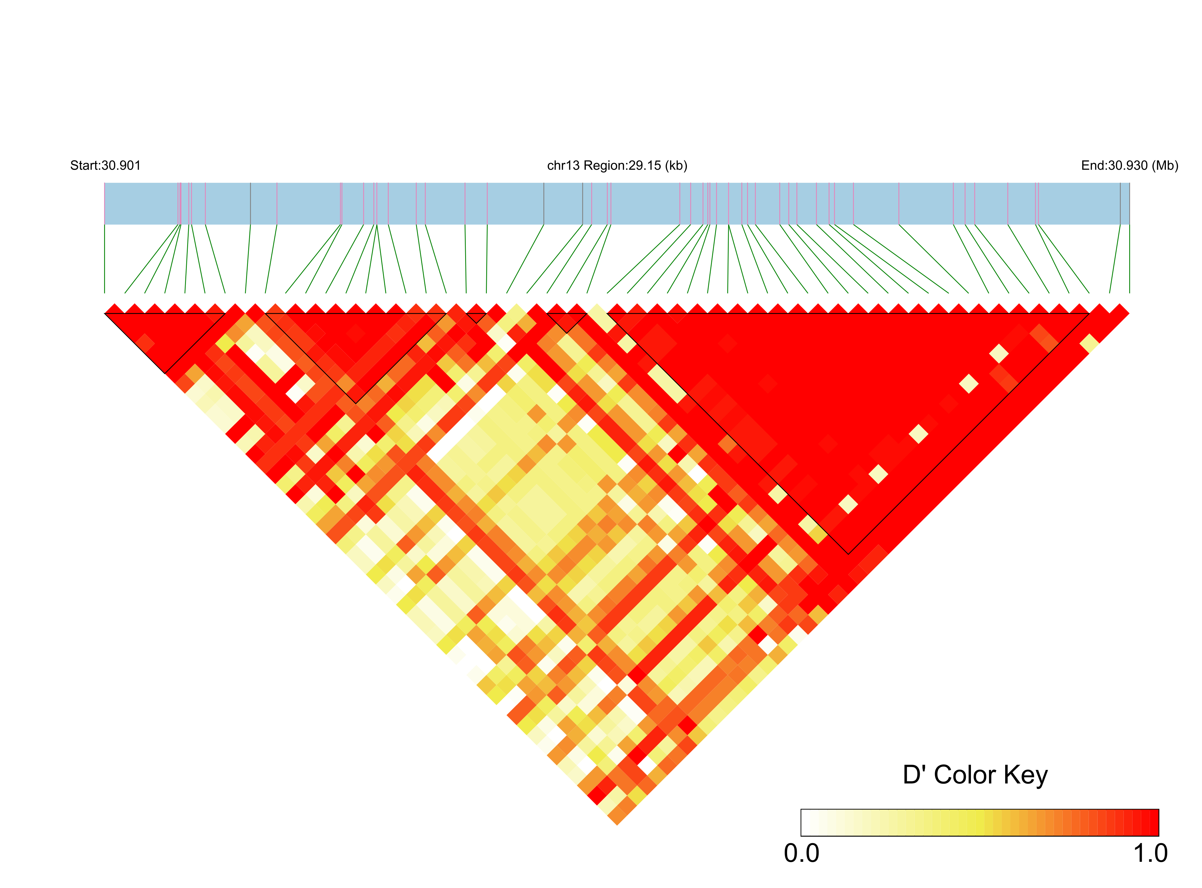 LD