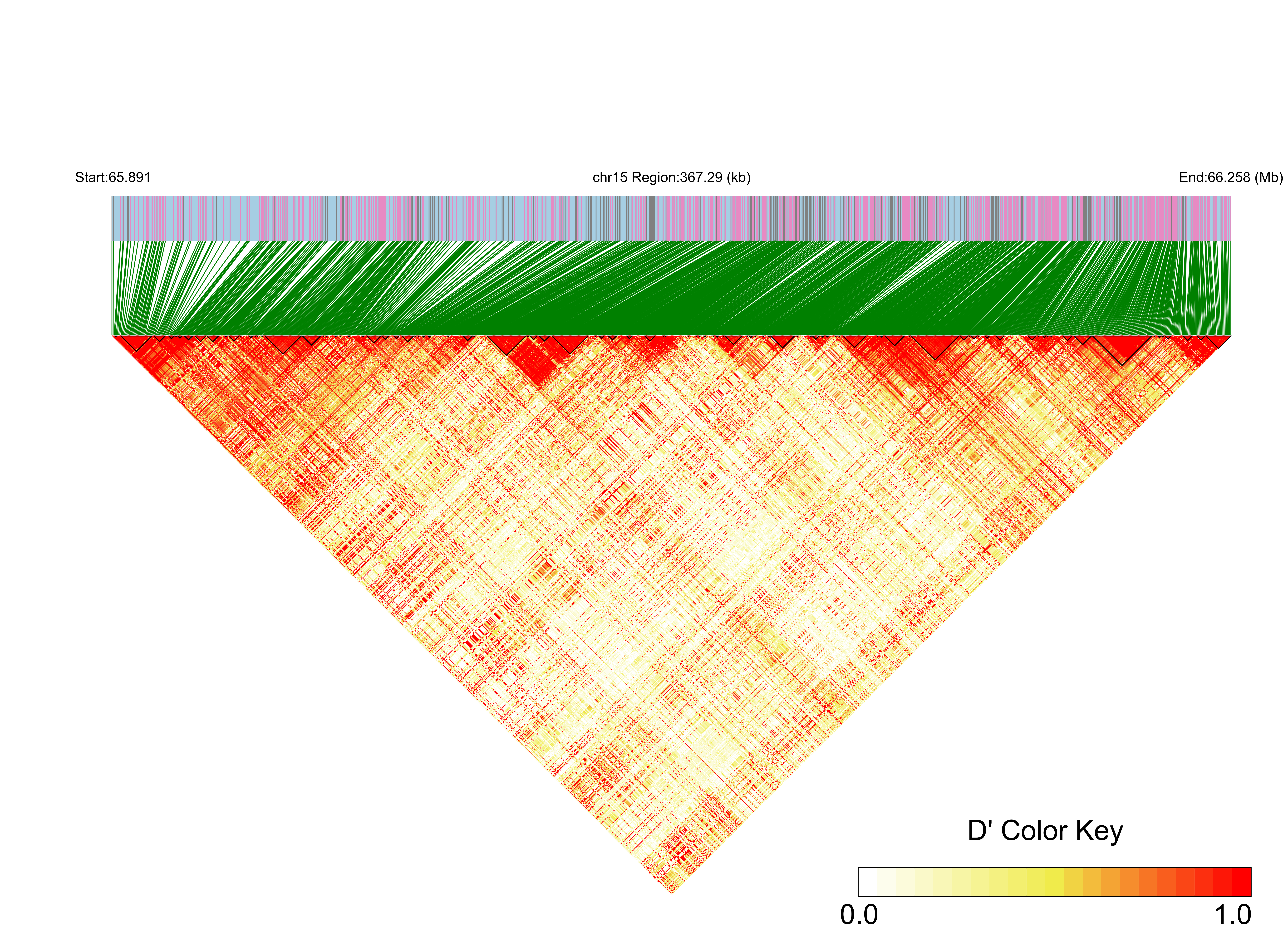 LD